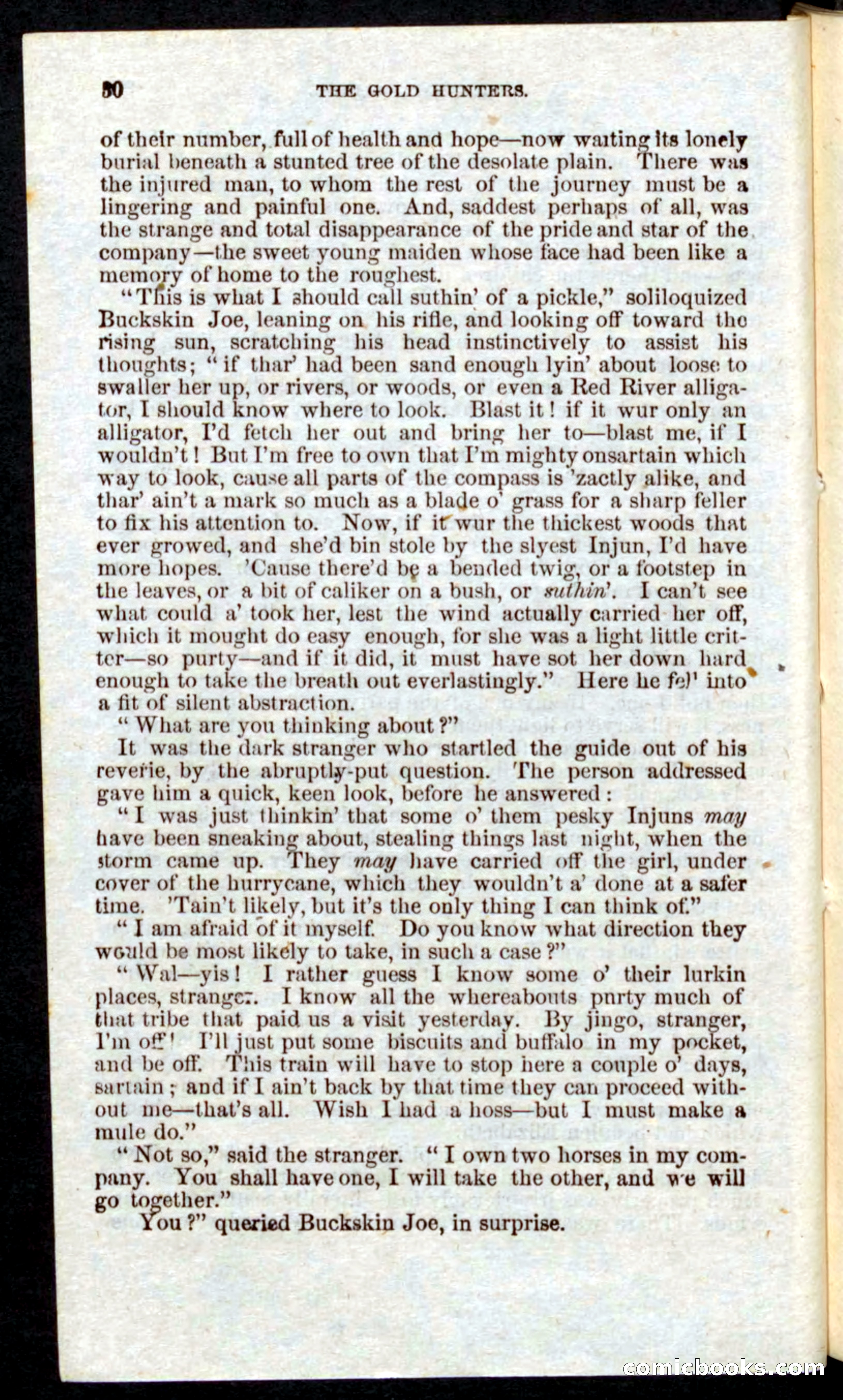 Beadle's Pocket Novels: Nat Wolfe — page 28 of 100