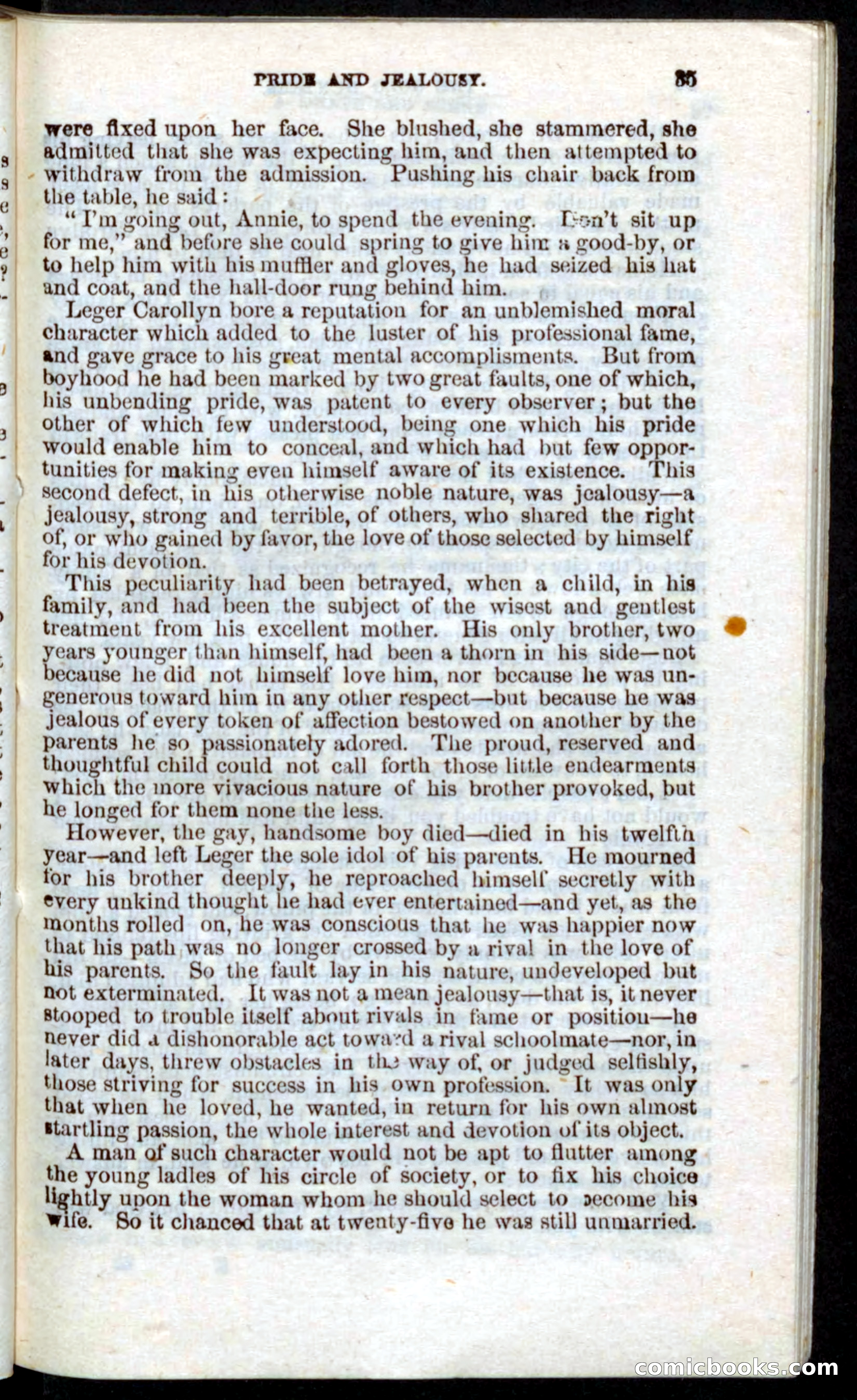 Beadle's Pocket Novels: Nat Wolfe — page 33 of 100