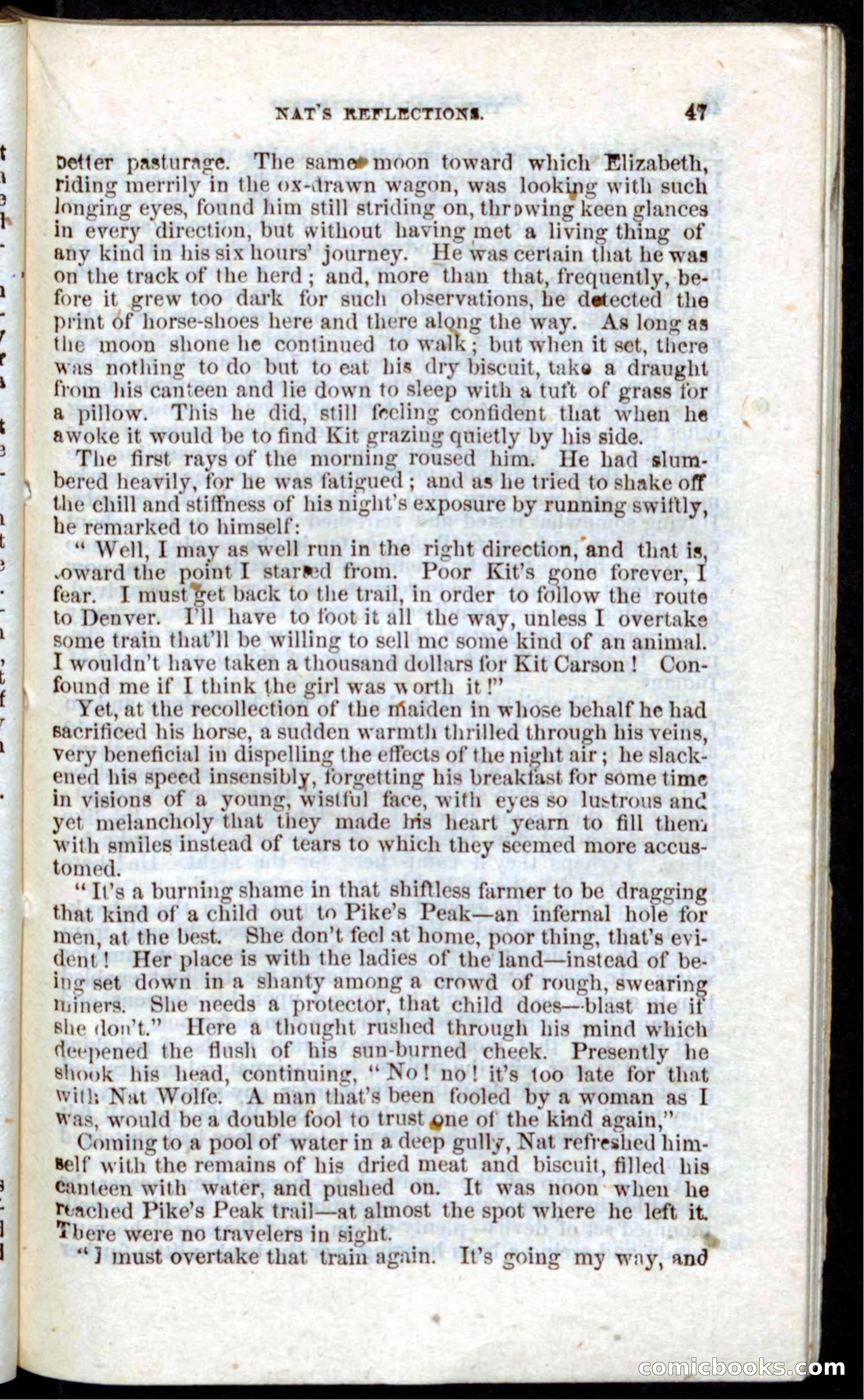 Beadle's Pocket Novels: Nat Wolfe — page 45 of 100