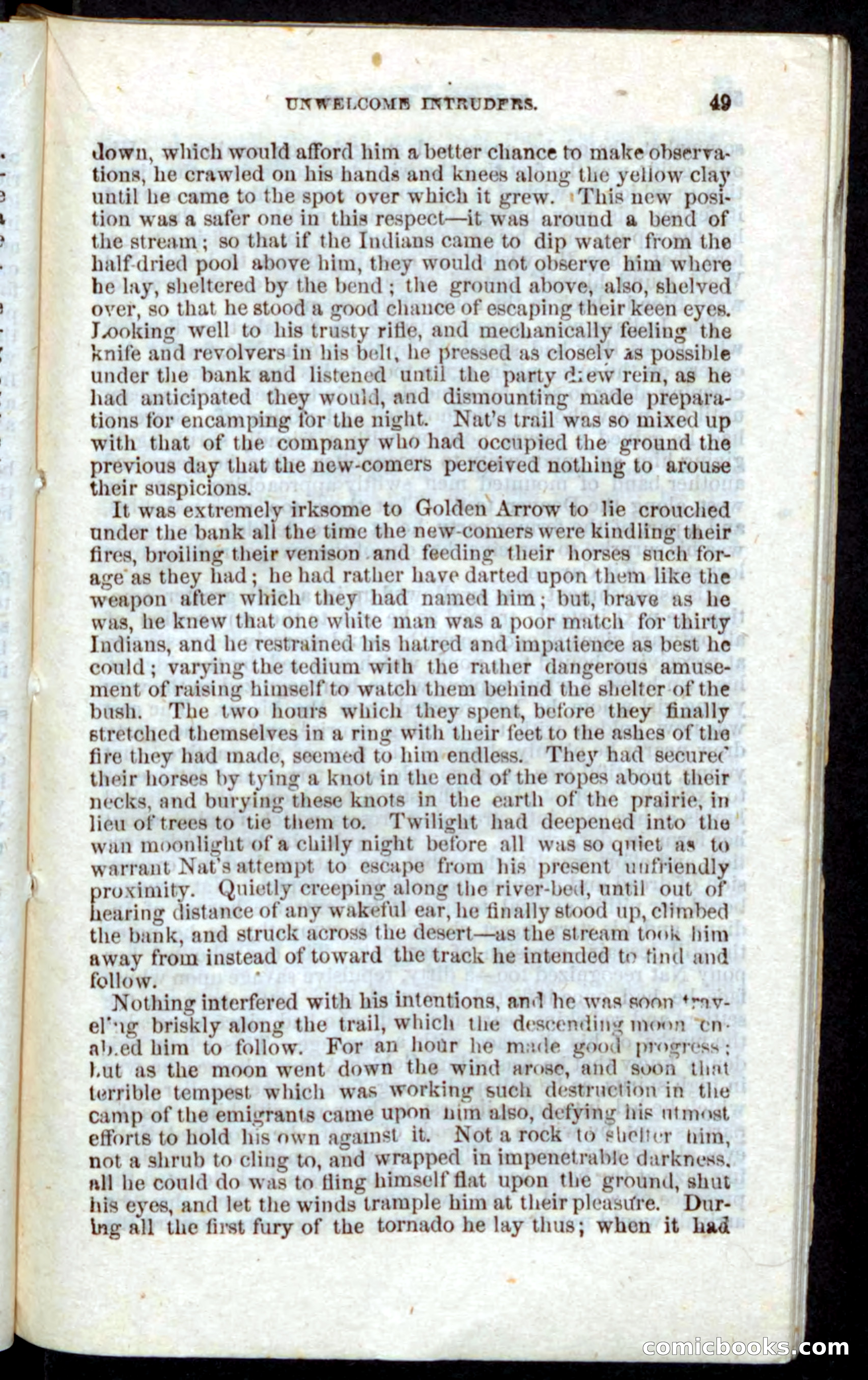 Beadle's Pocket Novels: Nat Wolfe — page 47 of 100