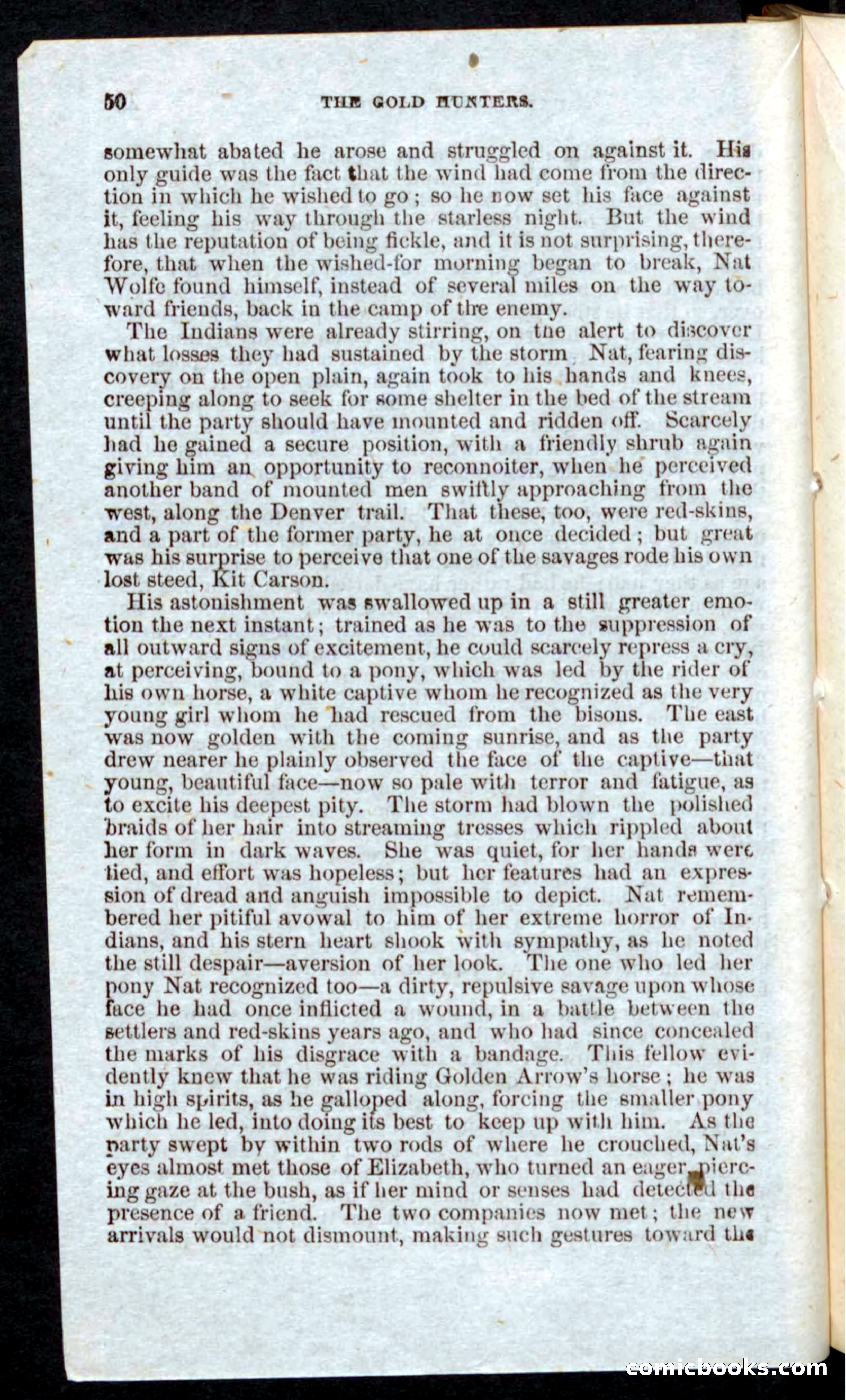 Beadle's Pocket Novels: Nat Wolfe — page 48 of 100