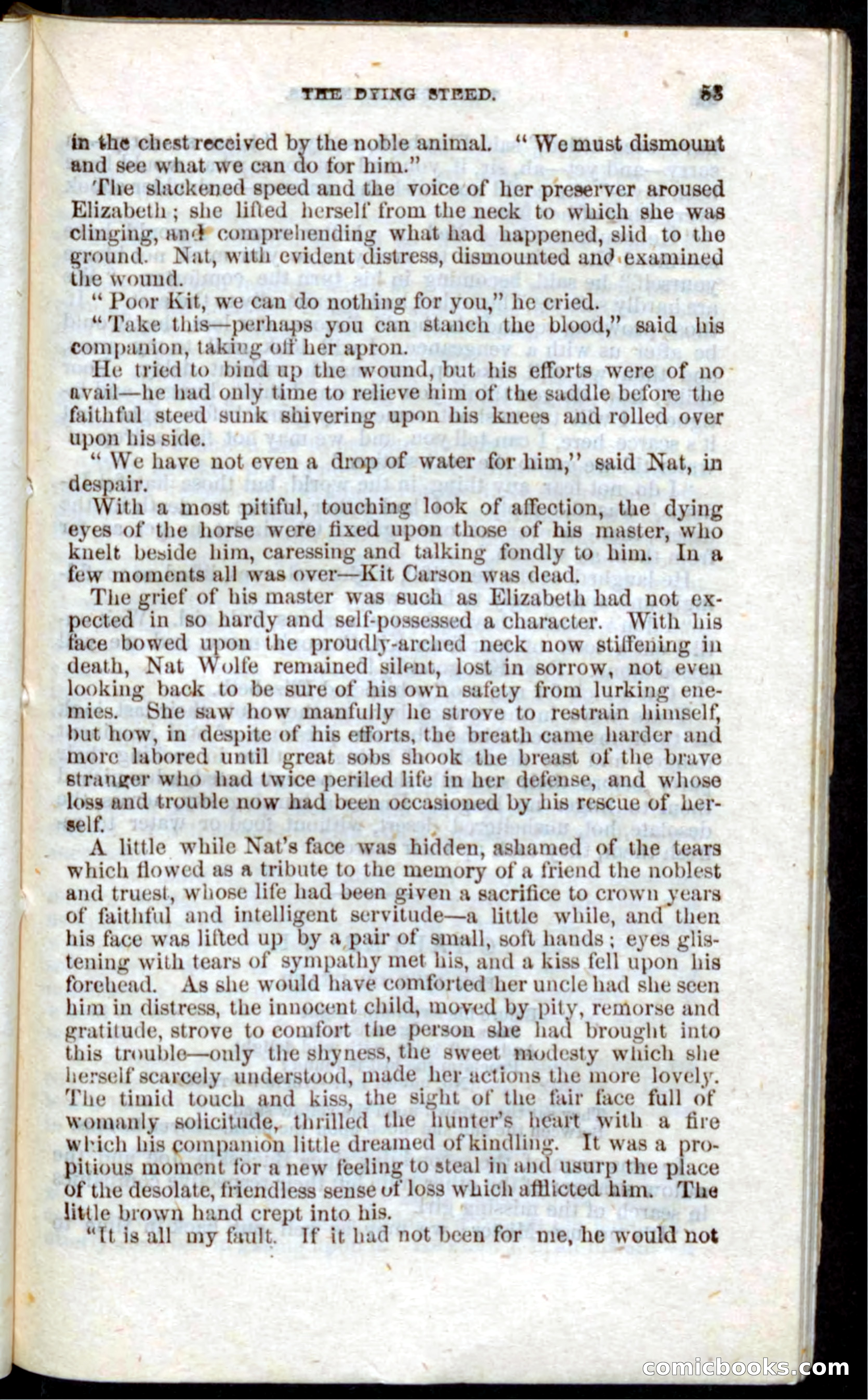Beadle's Pocket Novels: Nat Wolfe — page 51 of 100