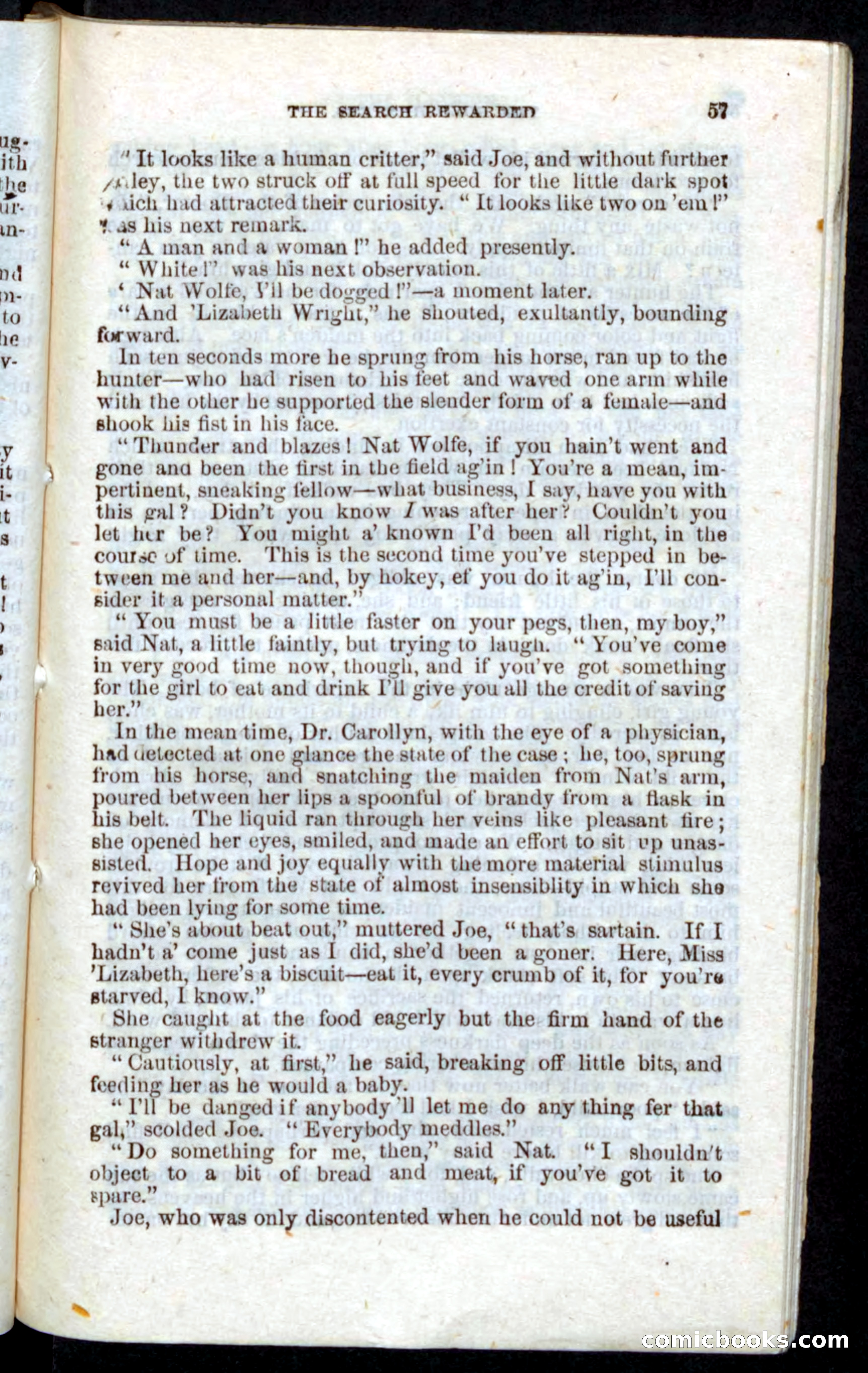 Beadle's Pocket Novels: Nat Wolfe — page 55 of 100