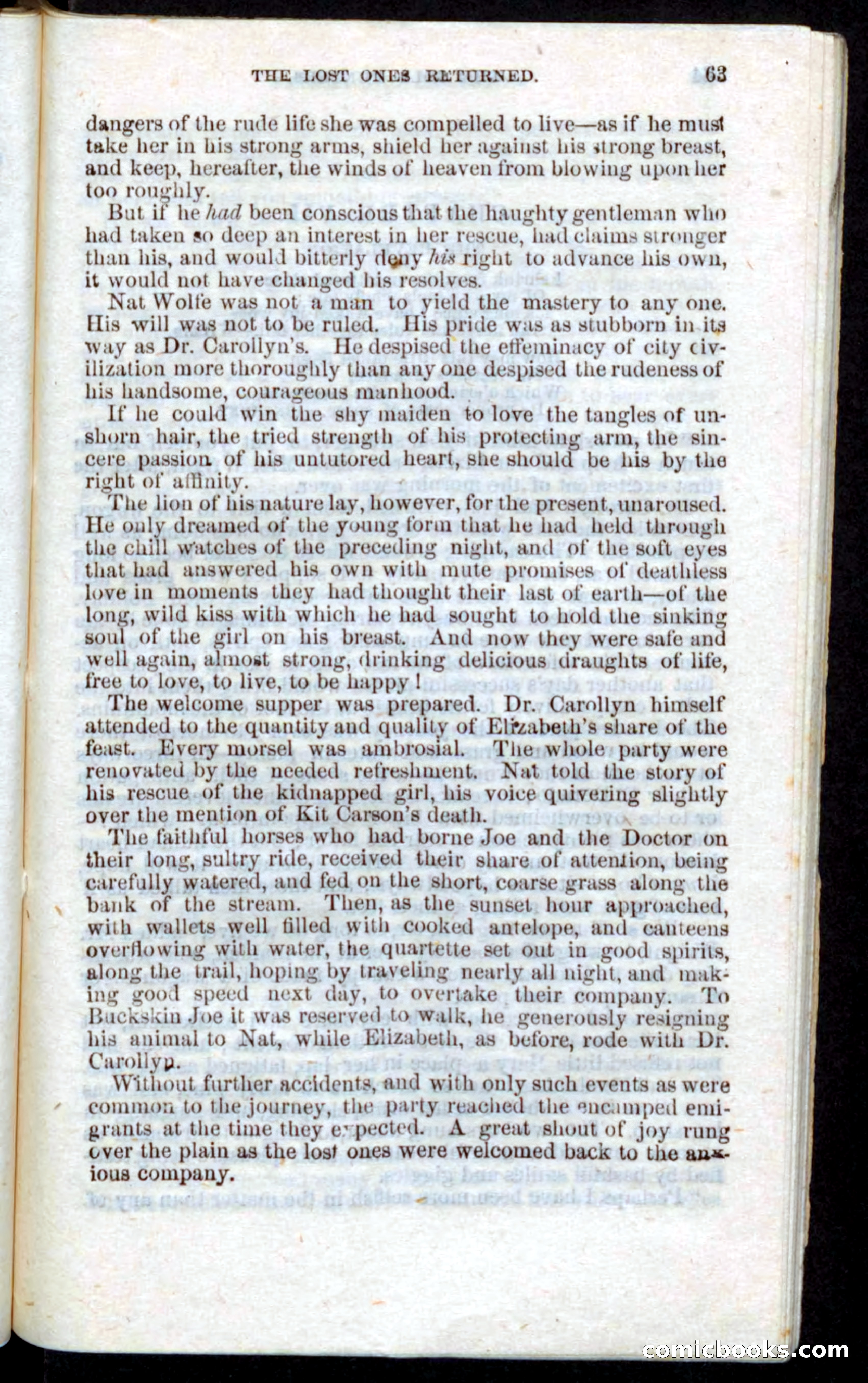 Beadle's Pocket Novels: Nat Wolfe — page 61 of 100