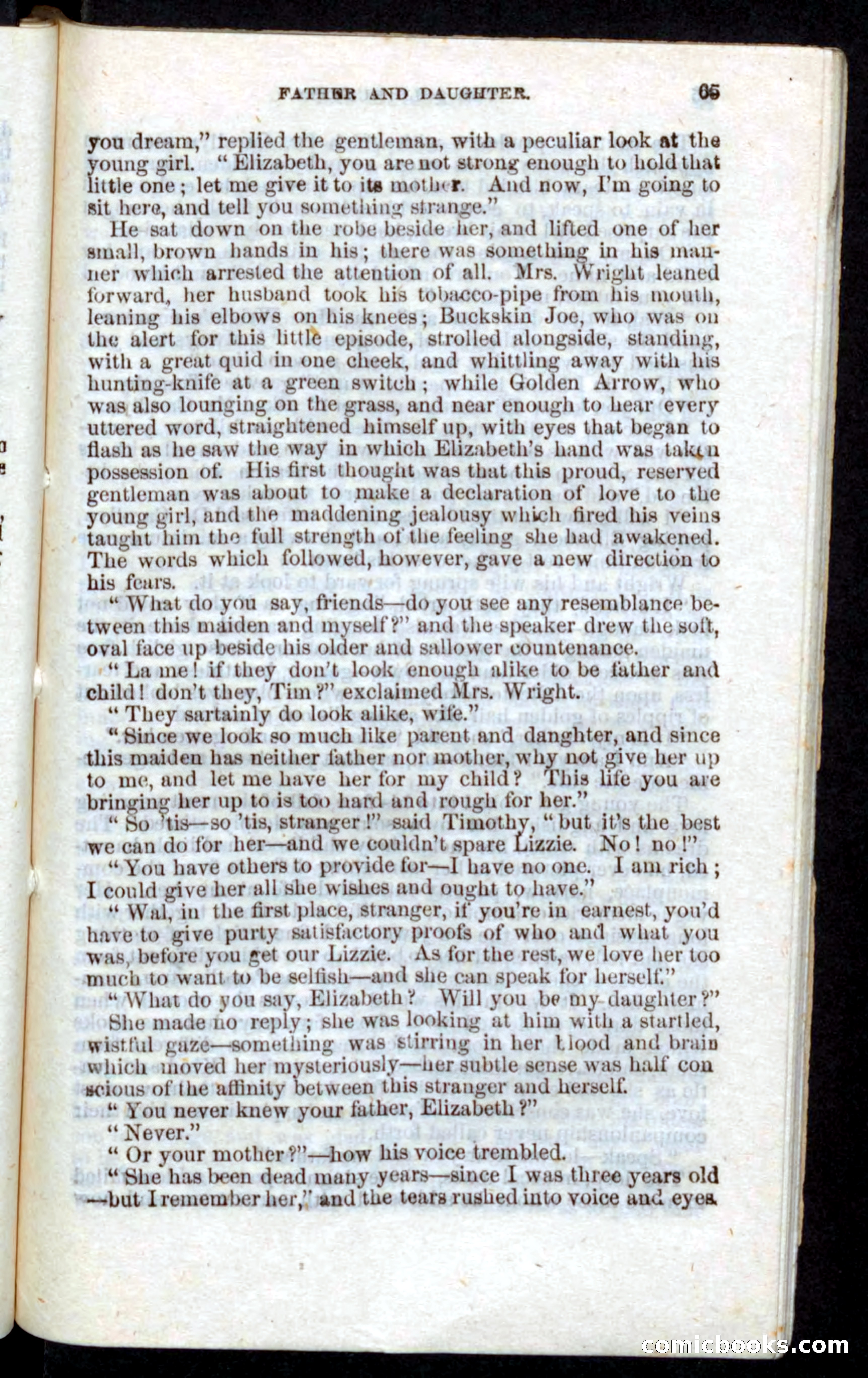 Beadle's Pocket Novels: Nat Wolfe — page 63 of 100