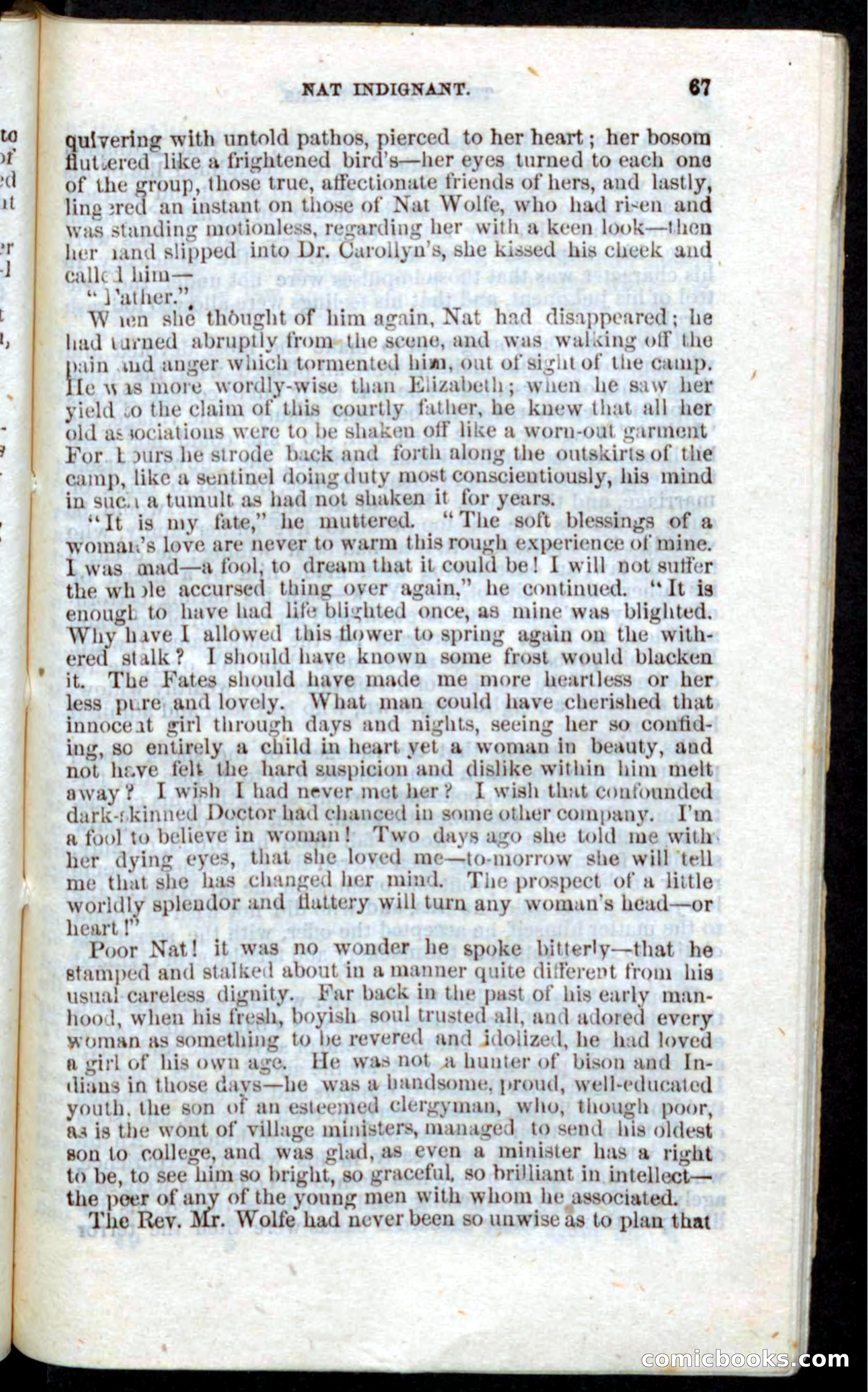 Beadle's Pocket Novels: Nat Wolfe — page 65 of 100