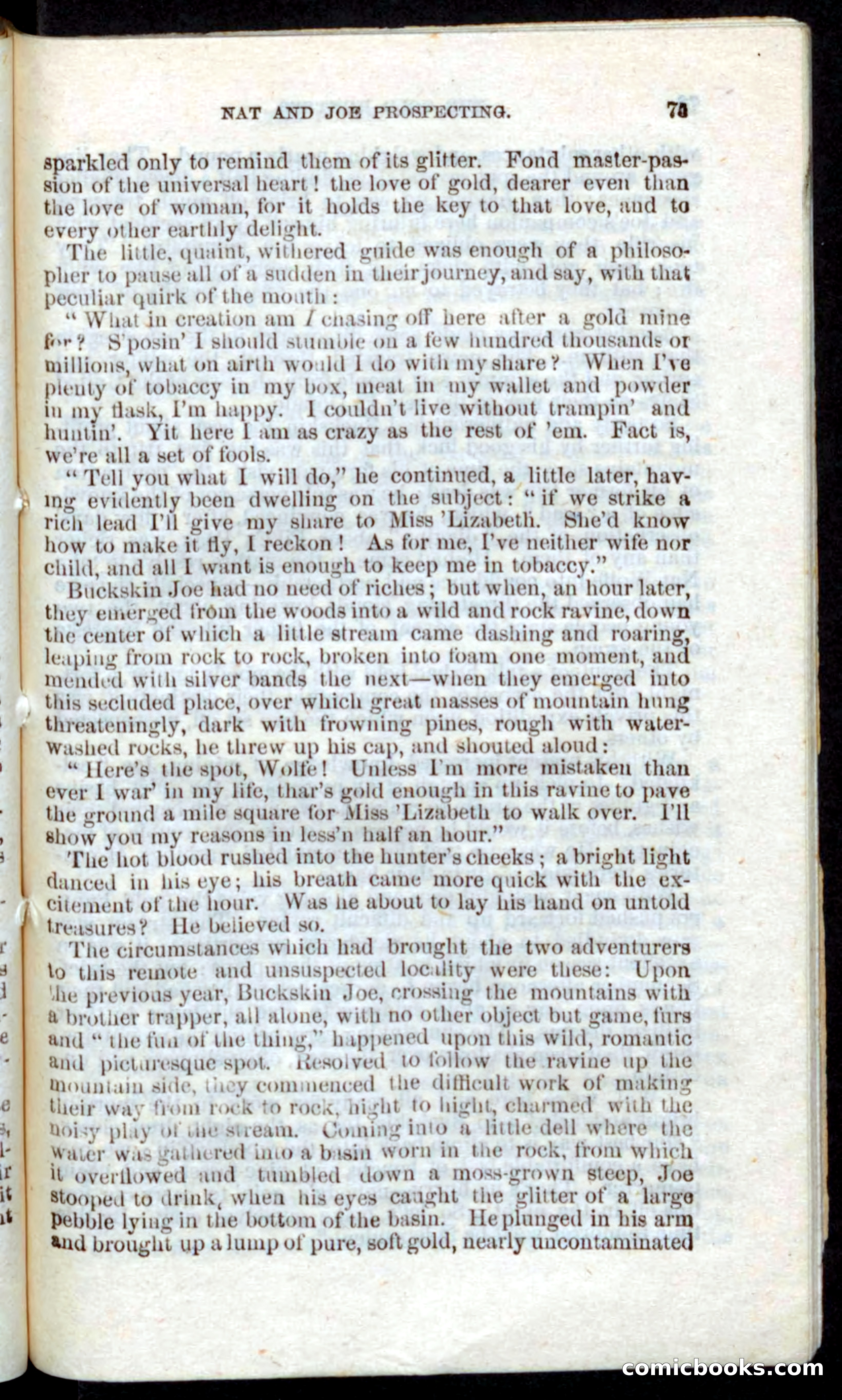 Beadle's Pocket Novels: Nat Wolfe — page 73 of 100