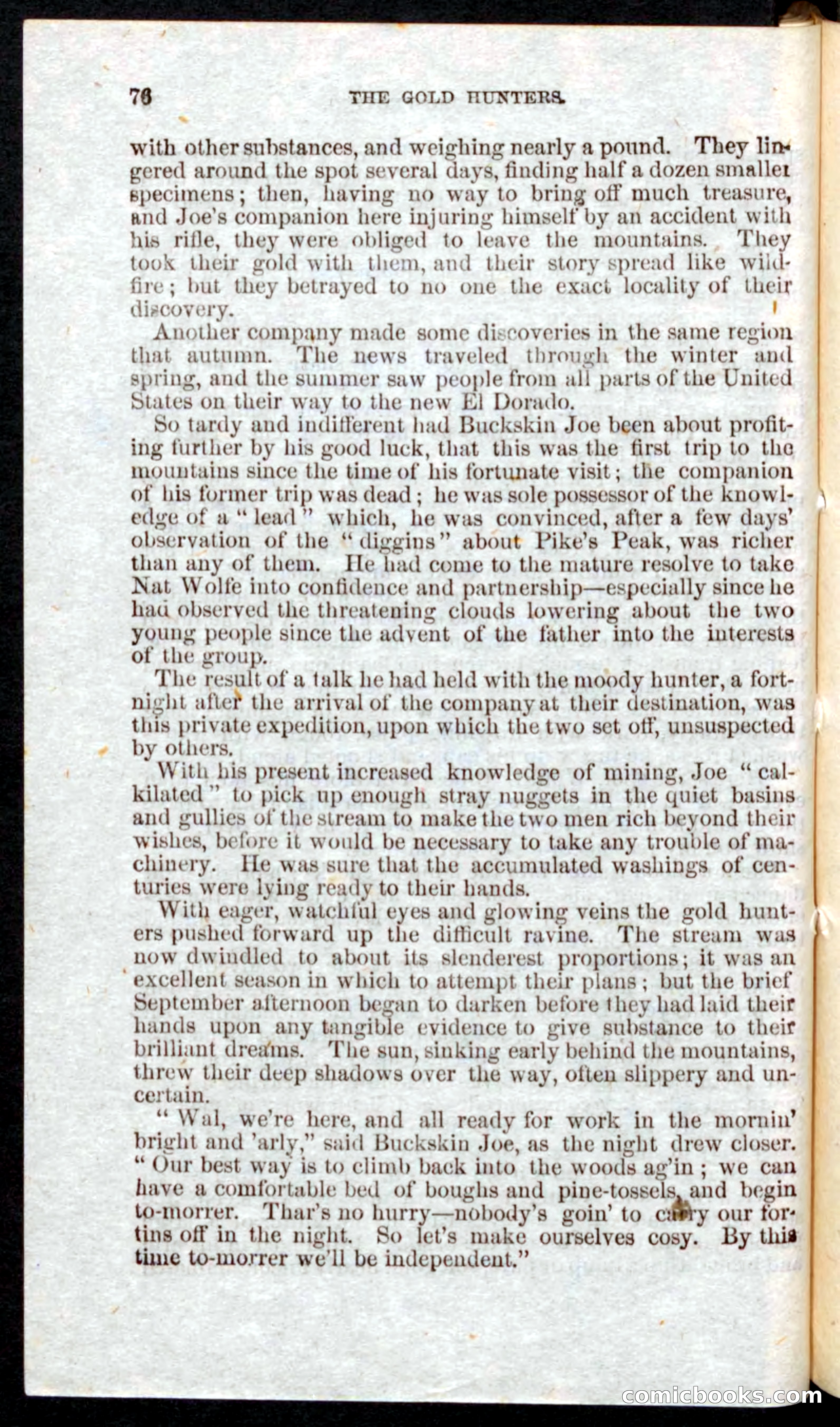 Beadle's Pocket Novels: Nat Wolfe — page 74 of 100