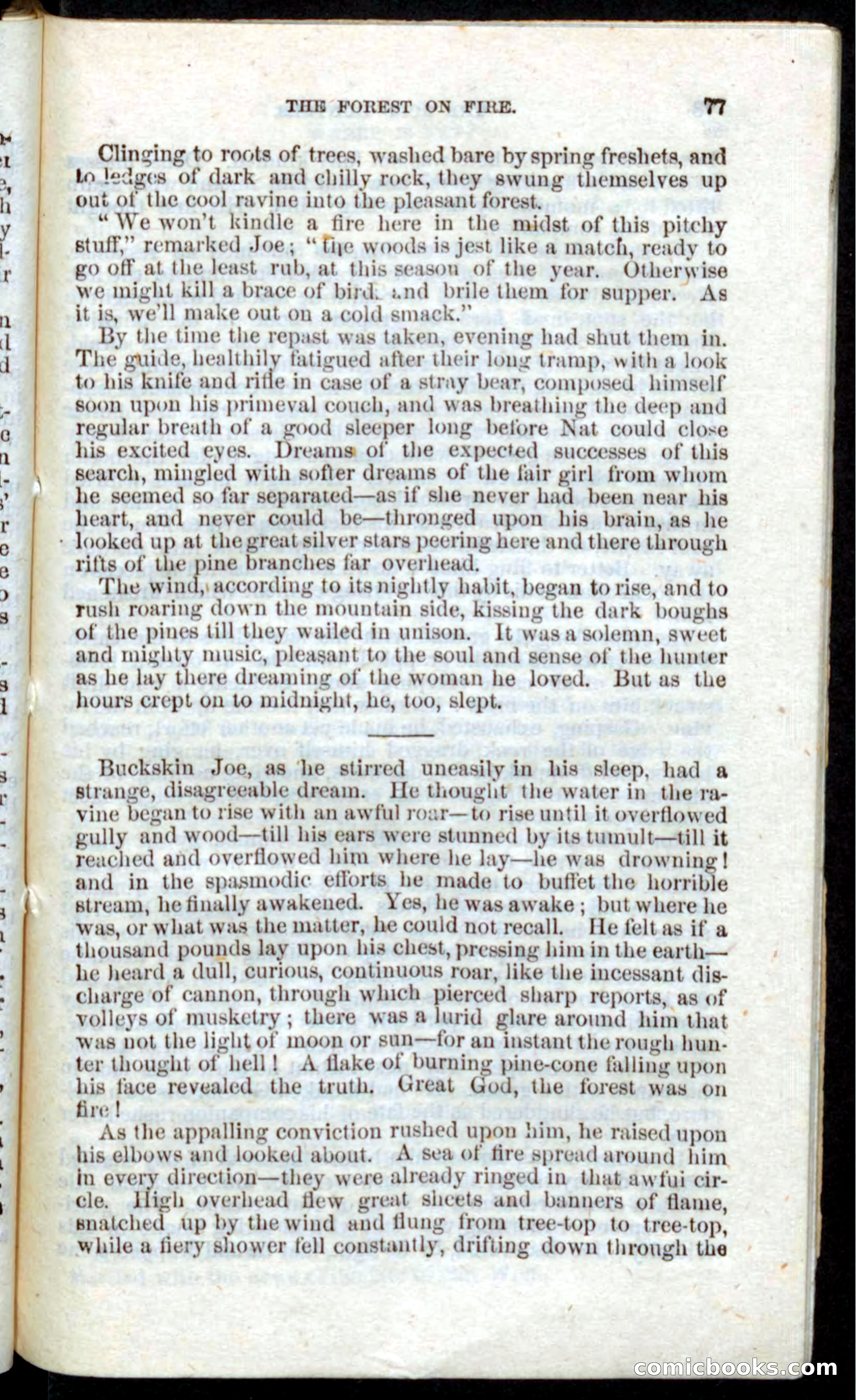 Beadle's Pocket Novels: Nat Wolfe — page 75 of 100