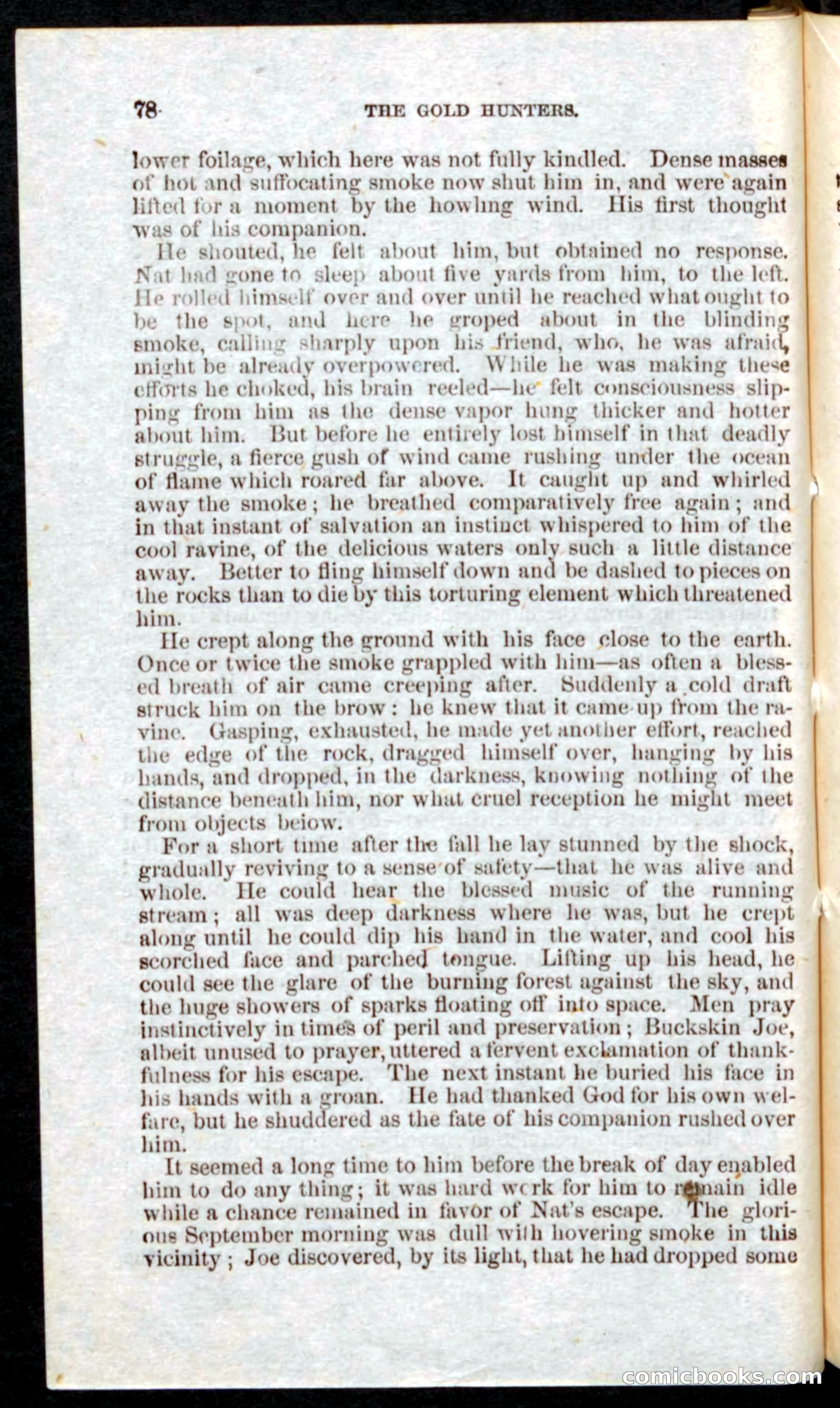 Beadle's Pocket Novels: Nat Wolfe — page 76 of 100