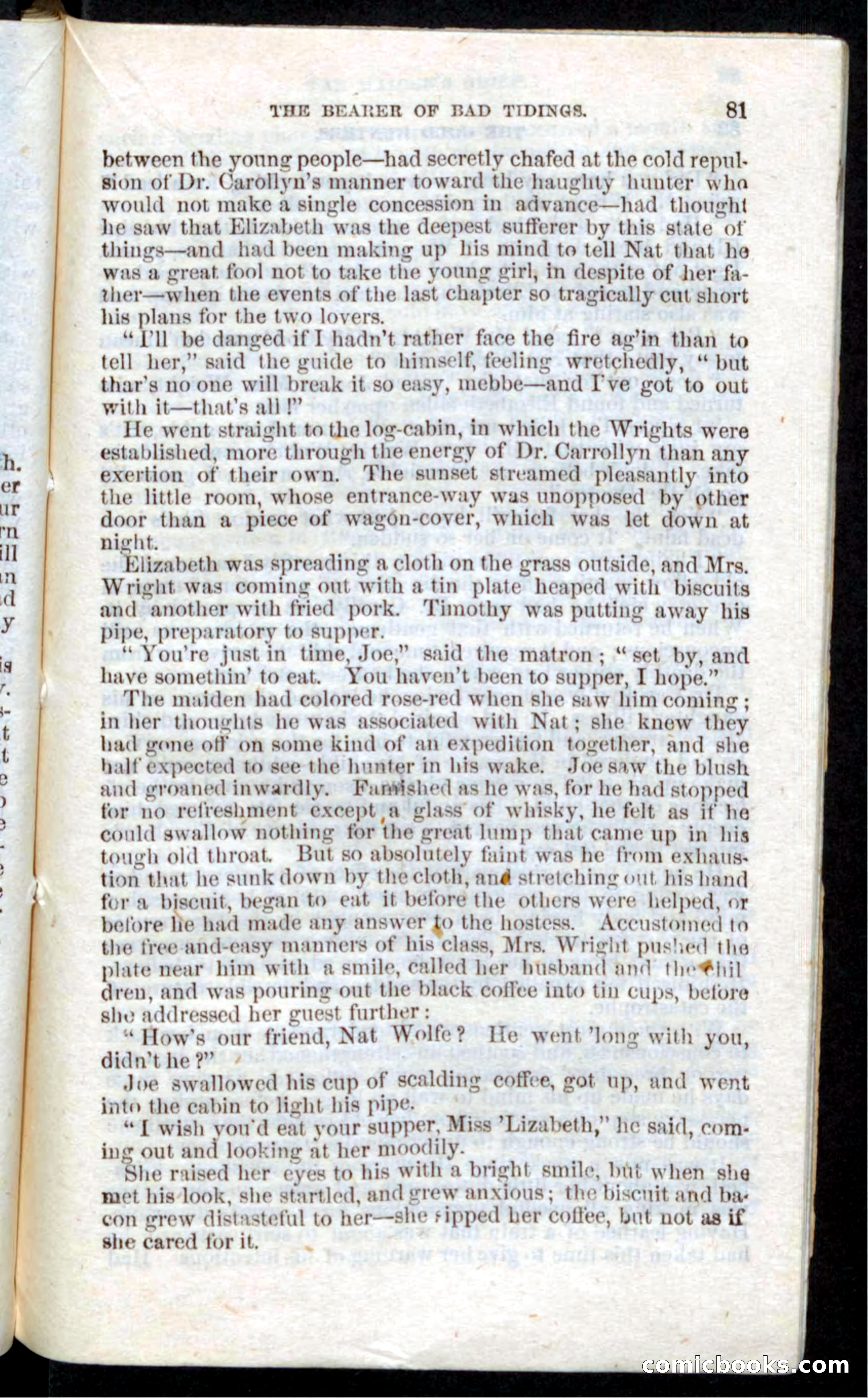 Beadle's Pocket Novels: Nat Wolfe — page 79 of 100
