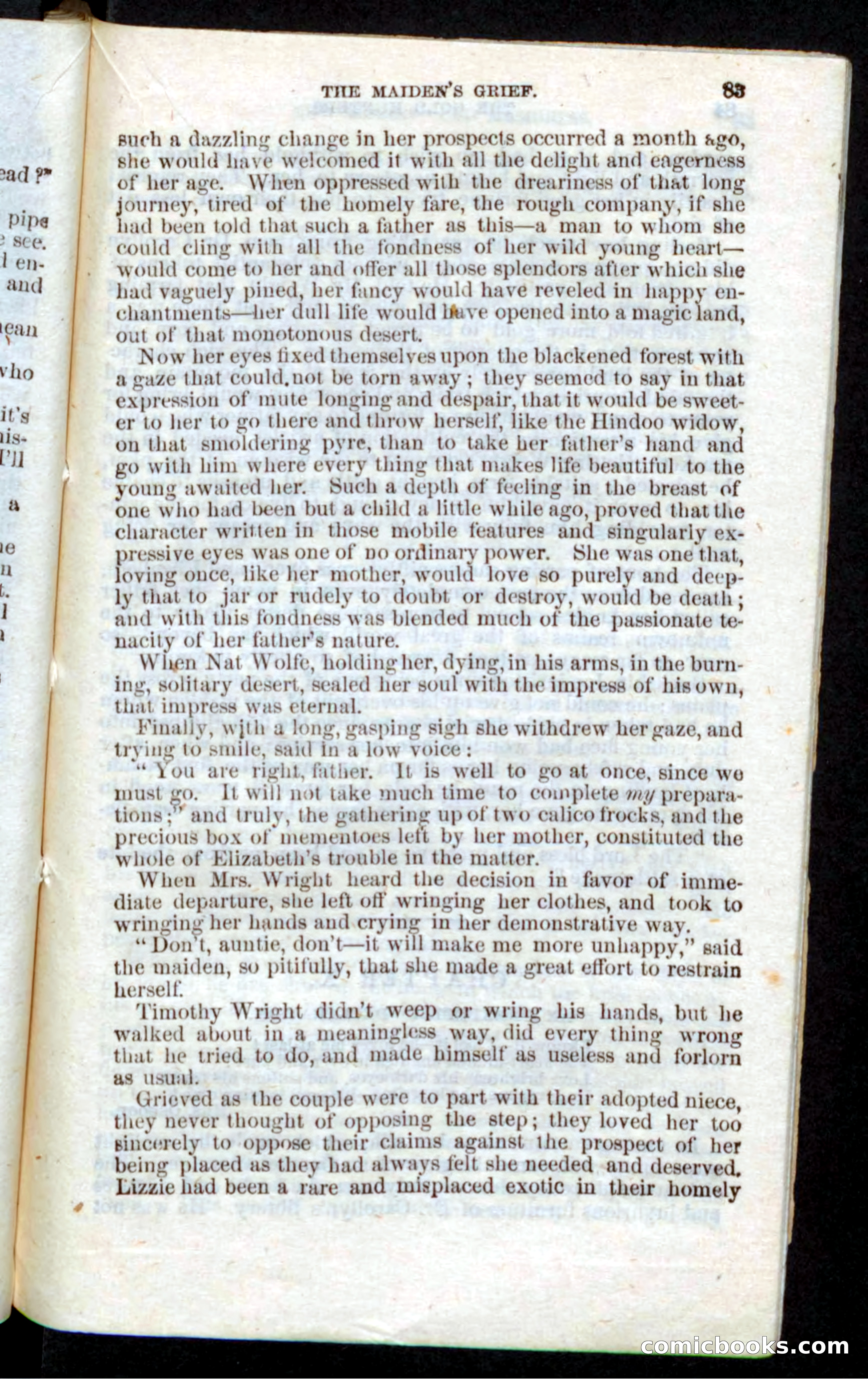 Beadle's Pocket Novels: Nat Wolfe — page 81 of 100