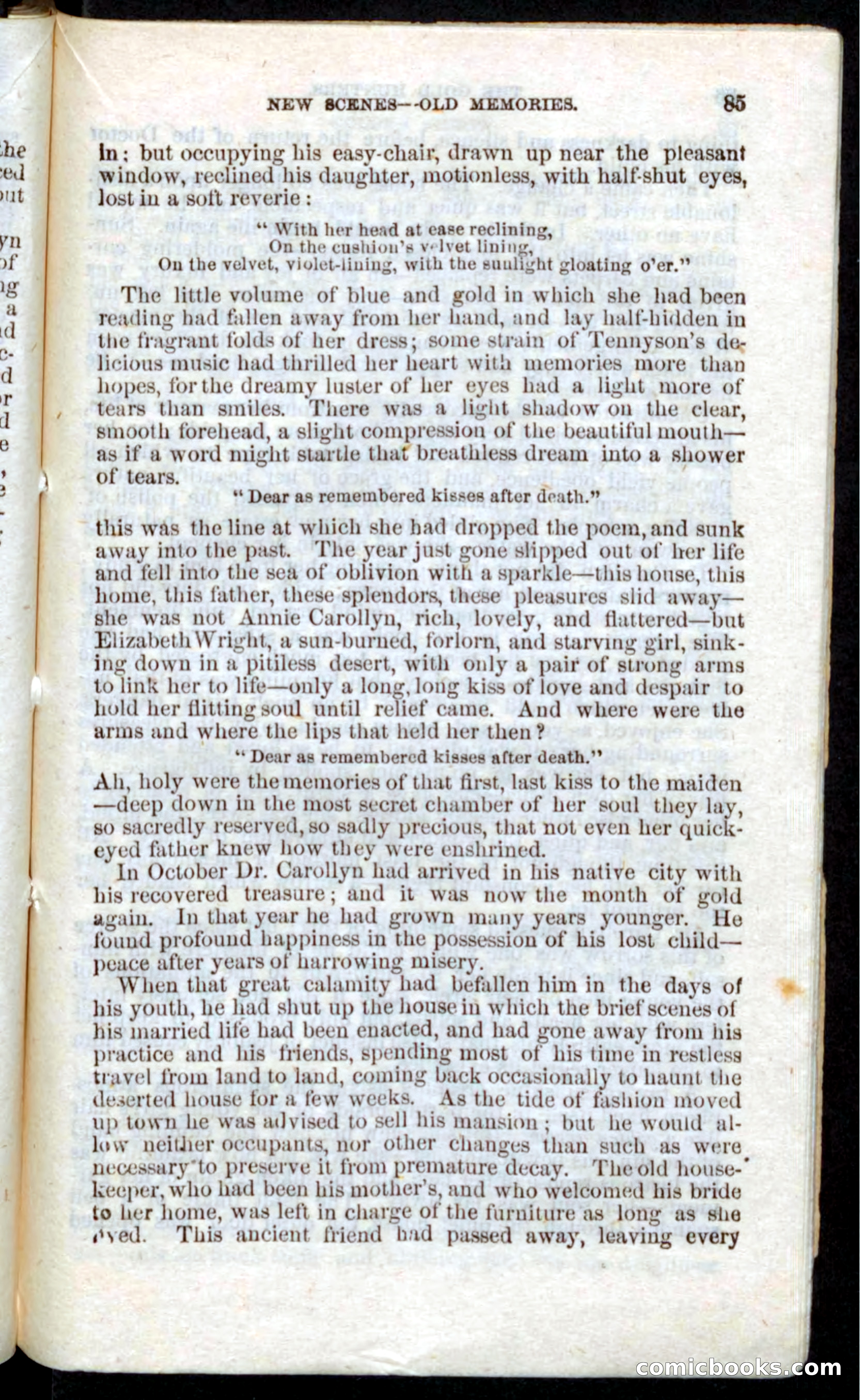 Beadle's Pocket Novels: Nat Wolfe — page 83 of 100