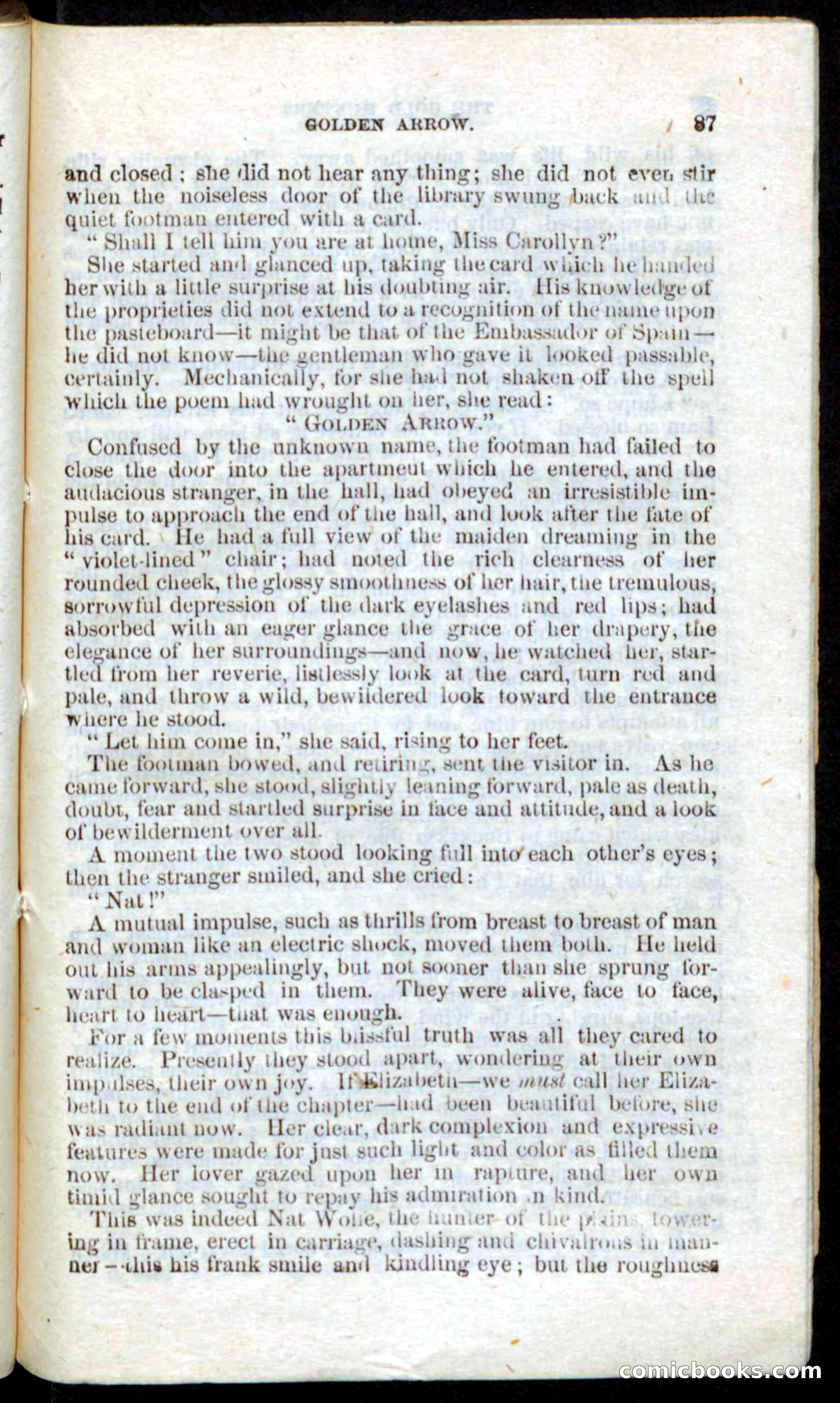 Beadle's Pocket Novels: Nat Wolfe — page 85 of 100