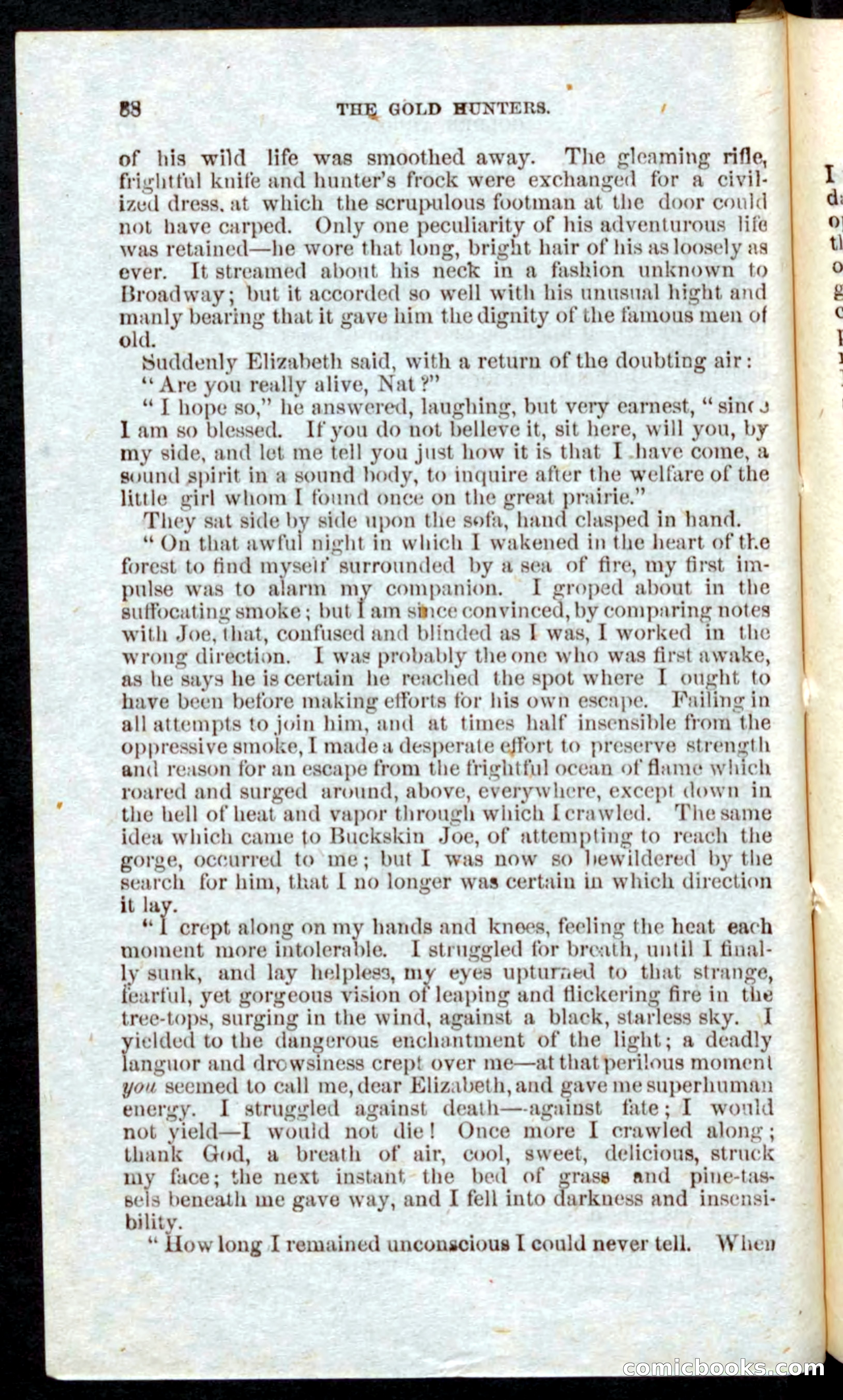 Beadle's Pocket Novels: Nat Wolfe — page 86 of 100