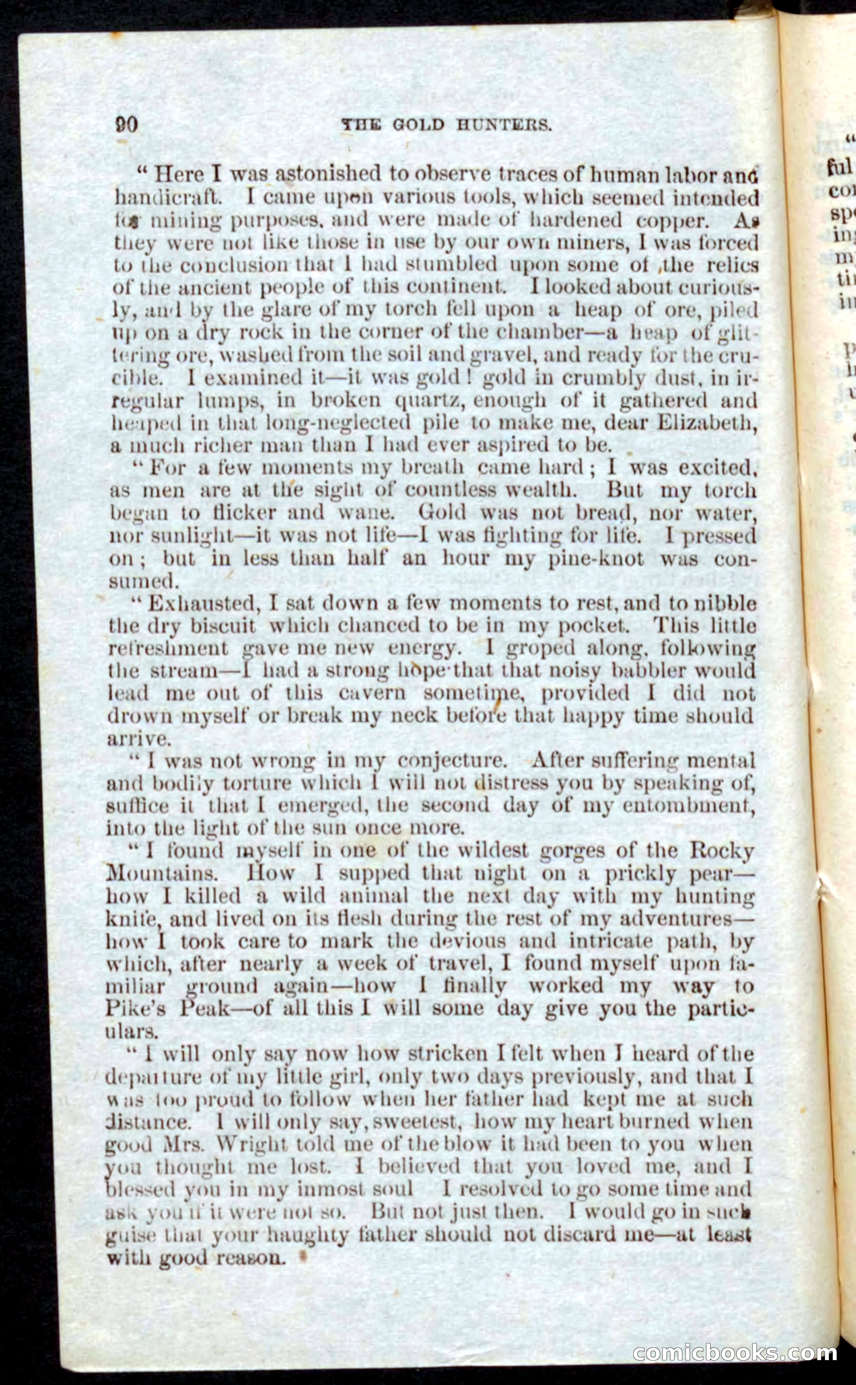 Beadle's Pocket Novels: Nat Wolfe — page 88 of 100
