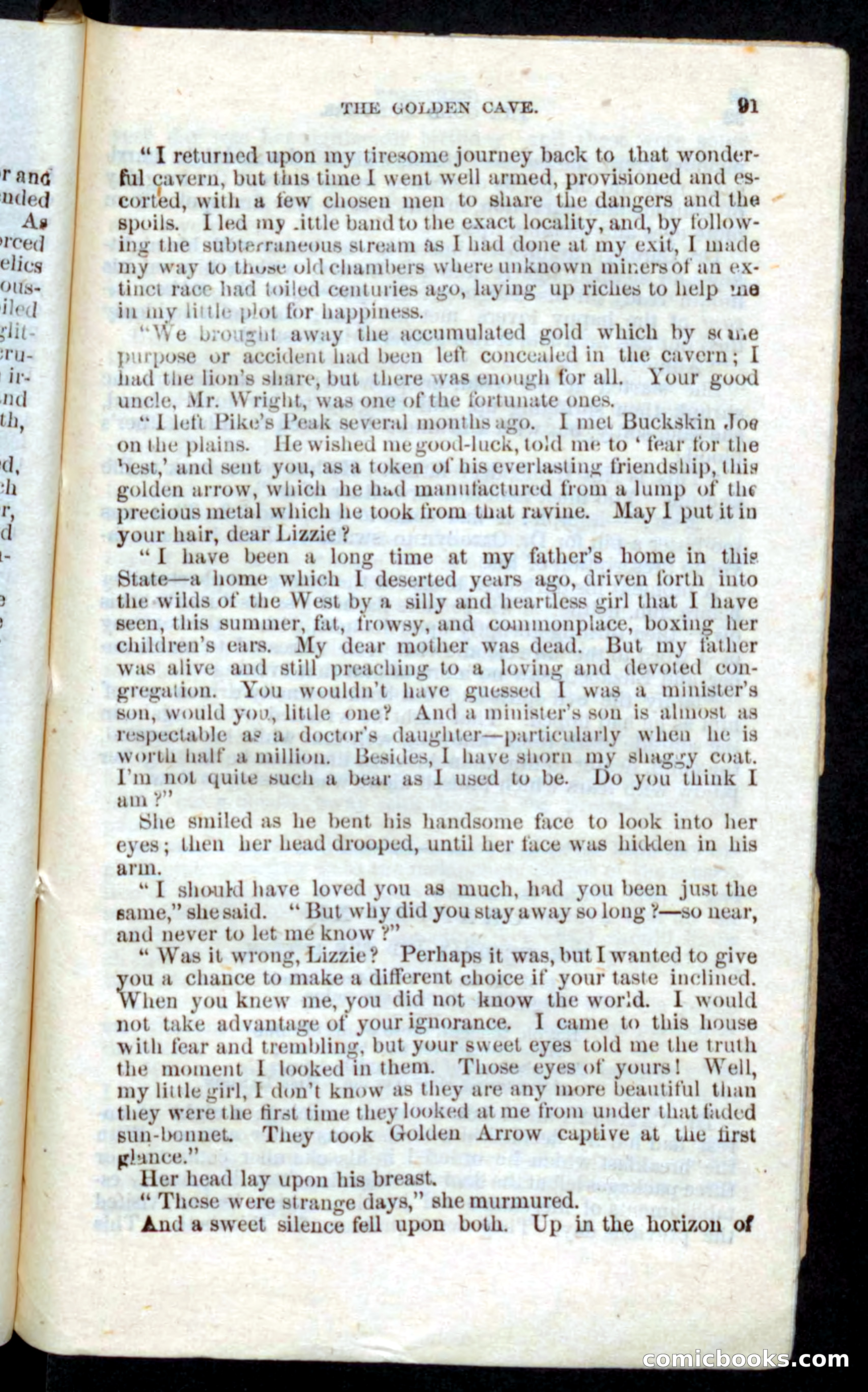 Beadle's Pocket Novels: Nat Wolfe — page 89 of 100