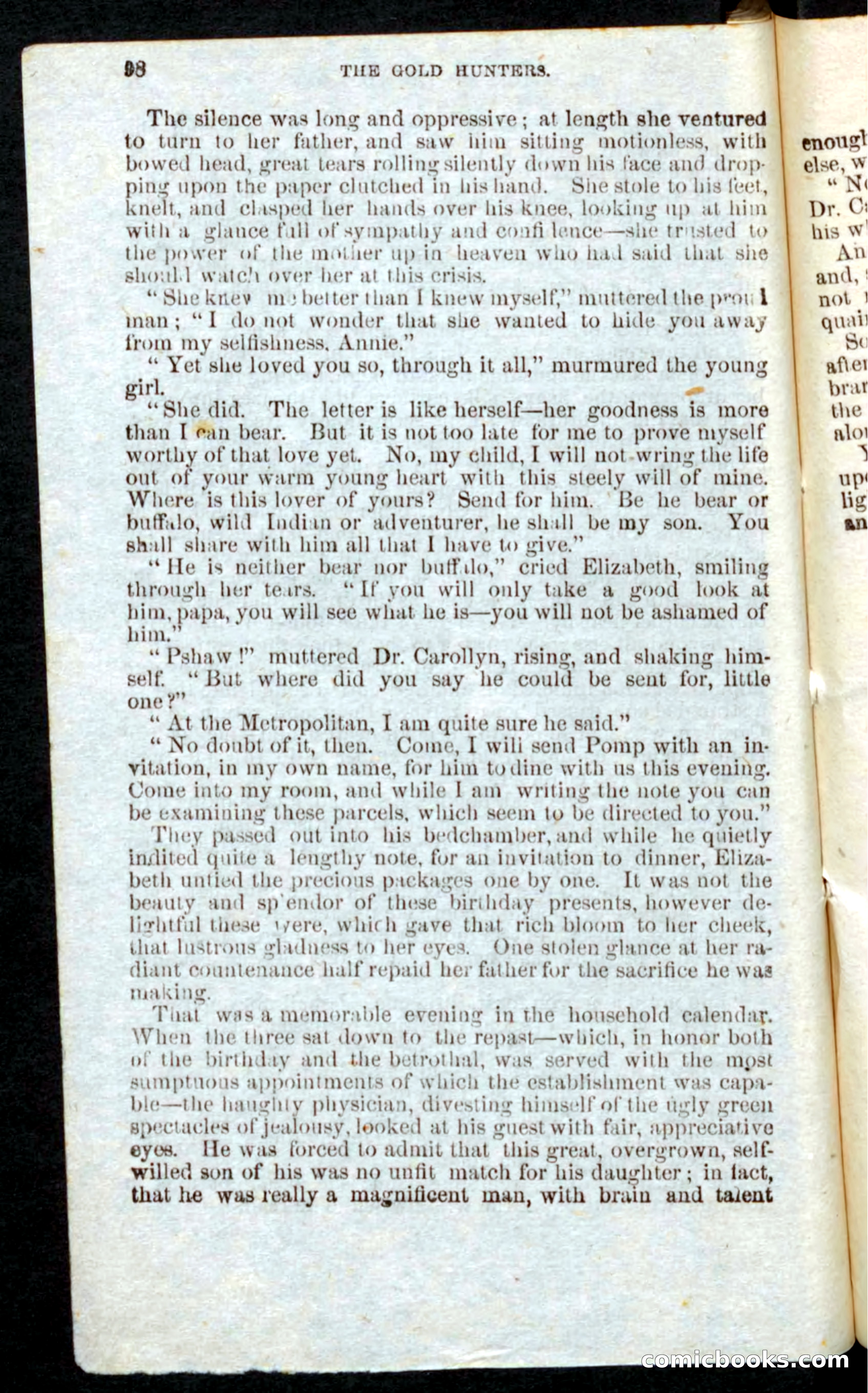 Beadle's Pocket Novels: Nat Wolfe — page 96 of 100