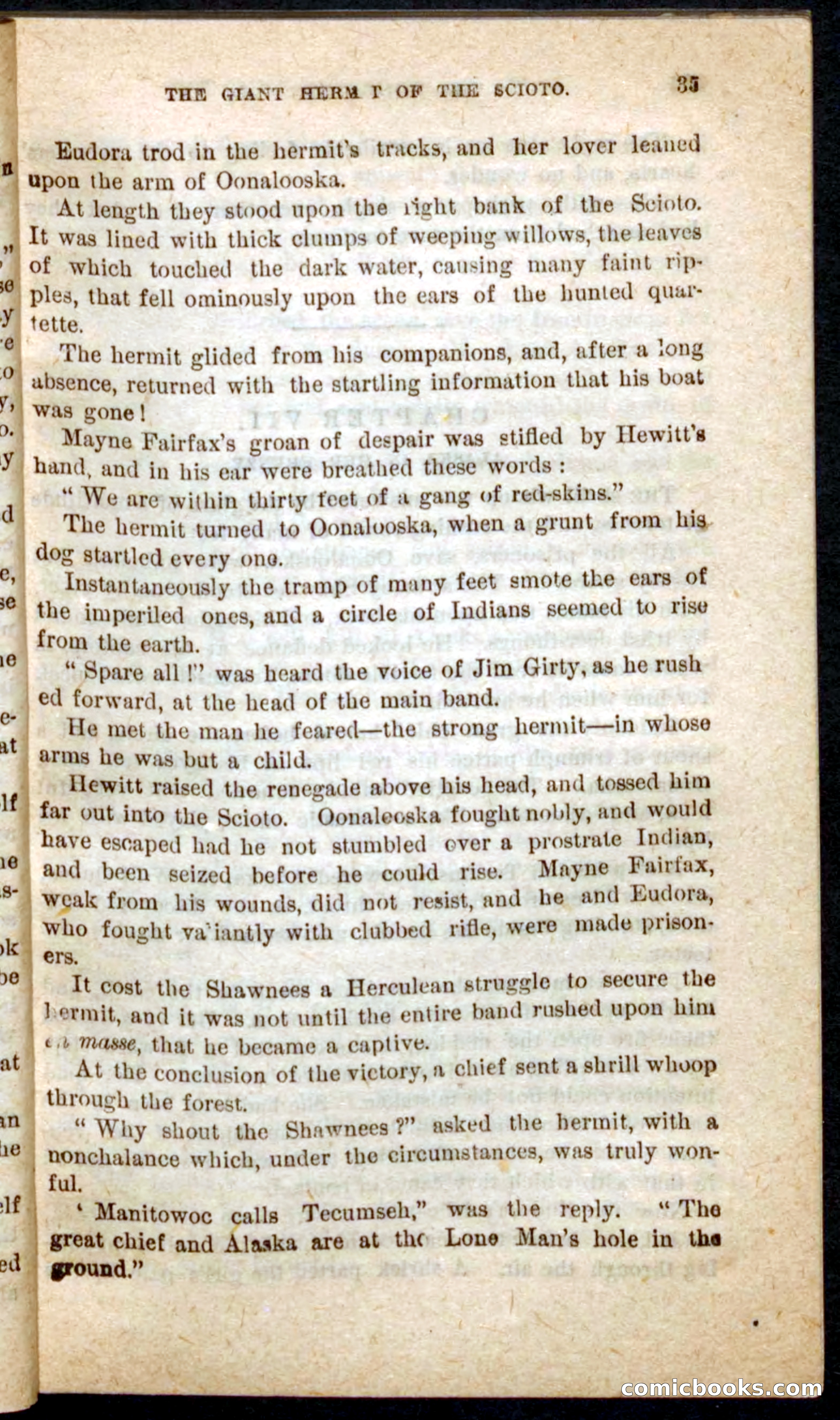 The Wolf-Queen — page 31 of 100