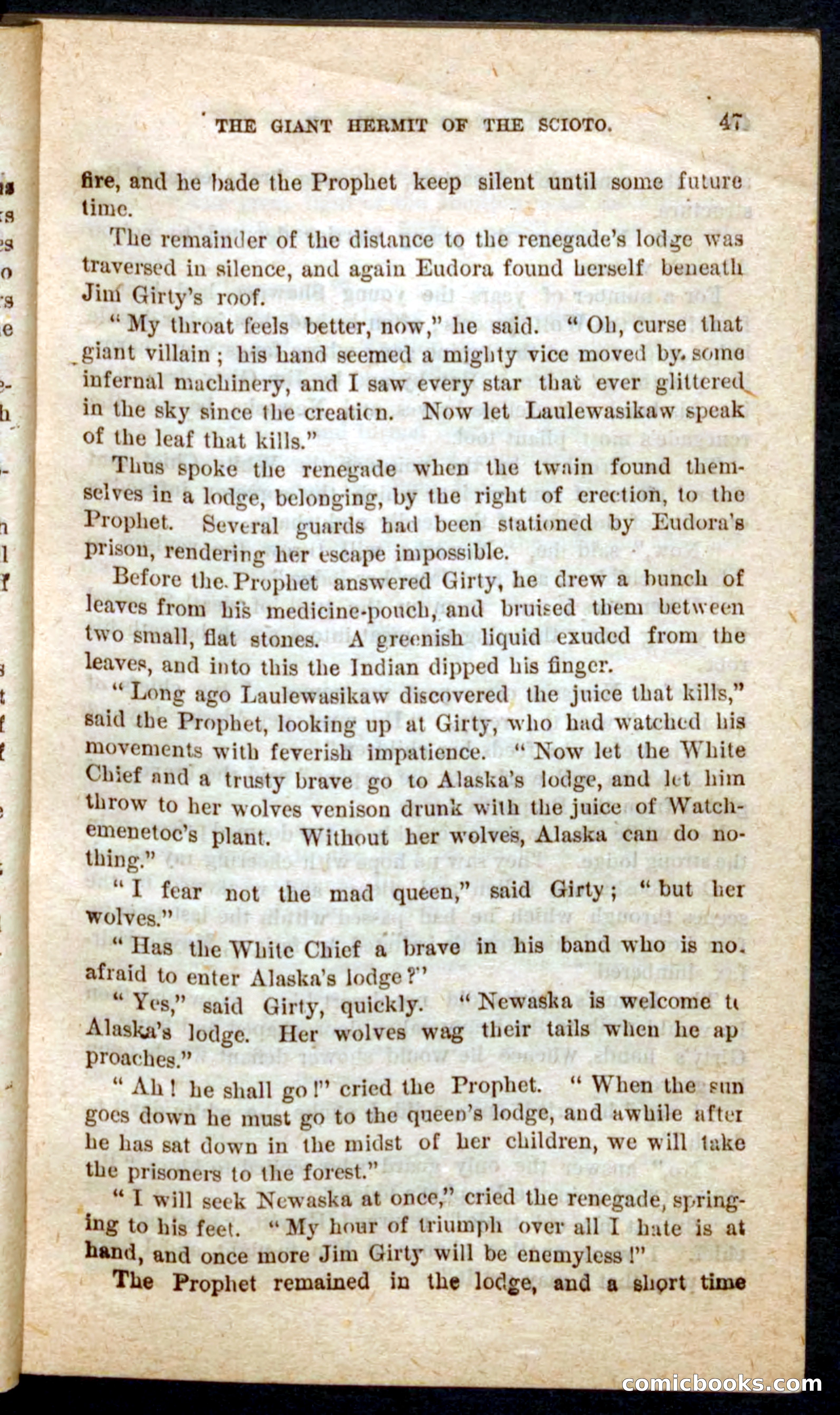 The Wolf-Queen — page 43 of 100