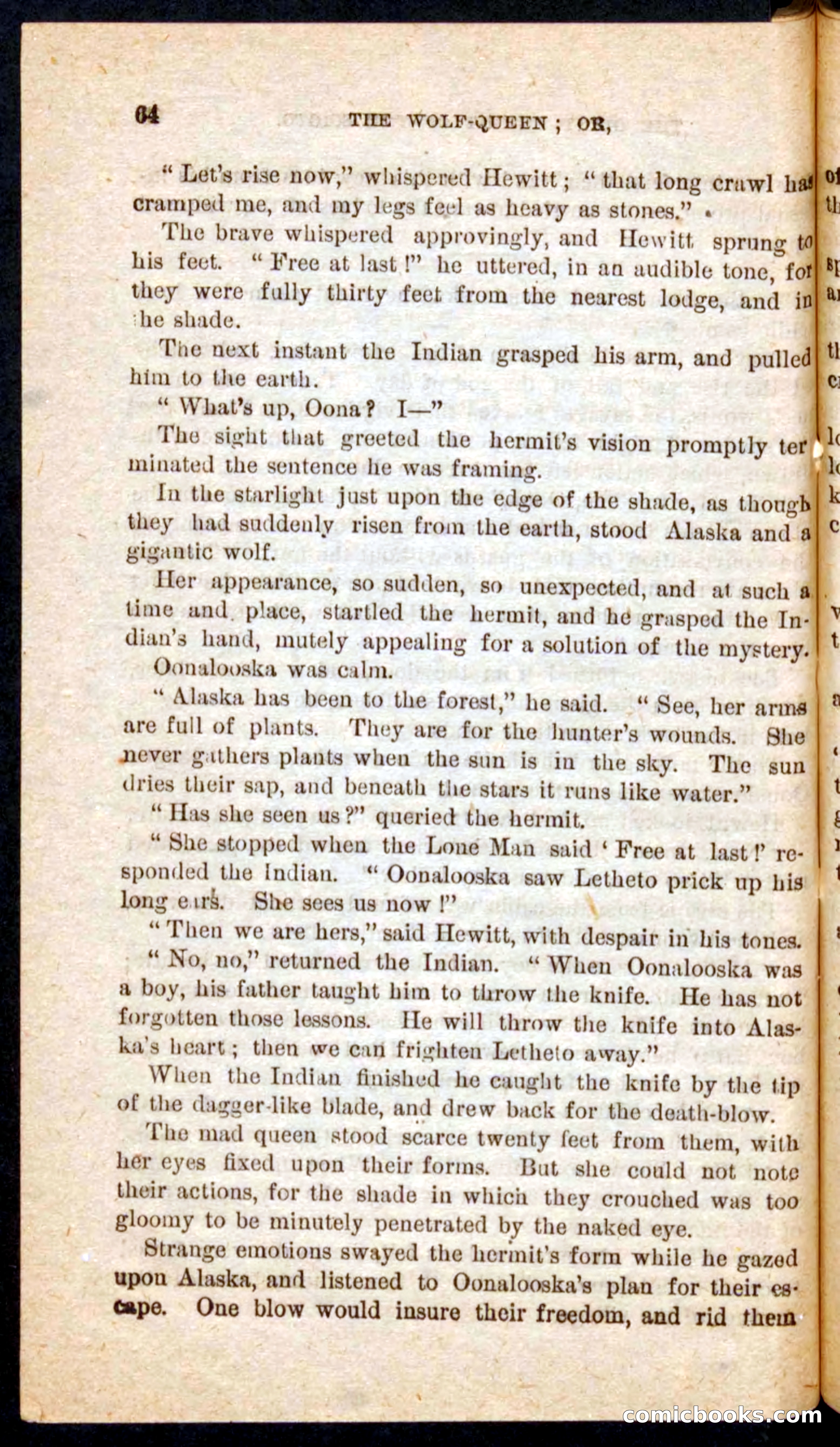 The Wolf-Queen — page 60 of 100