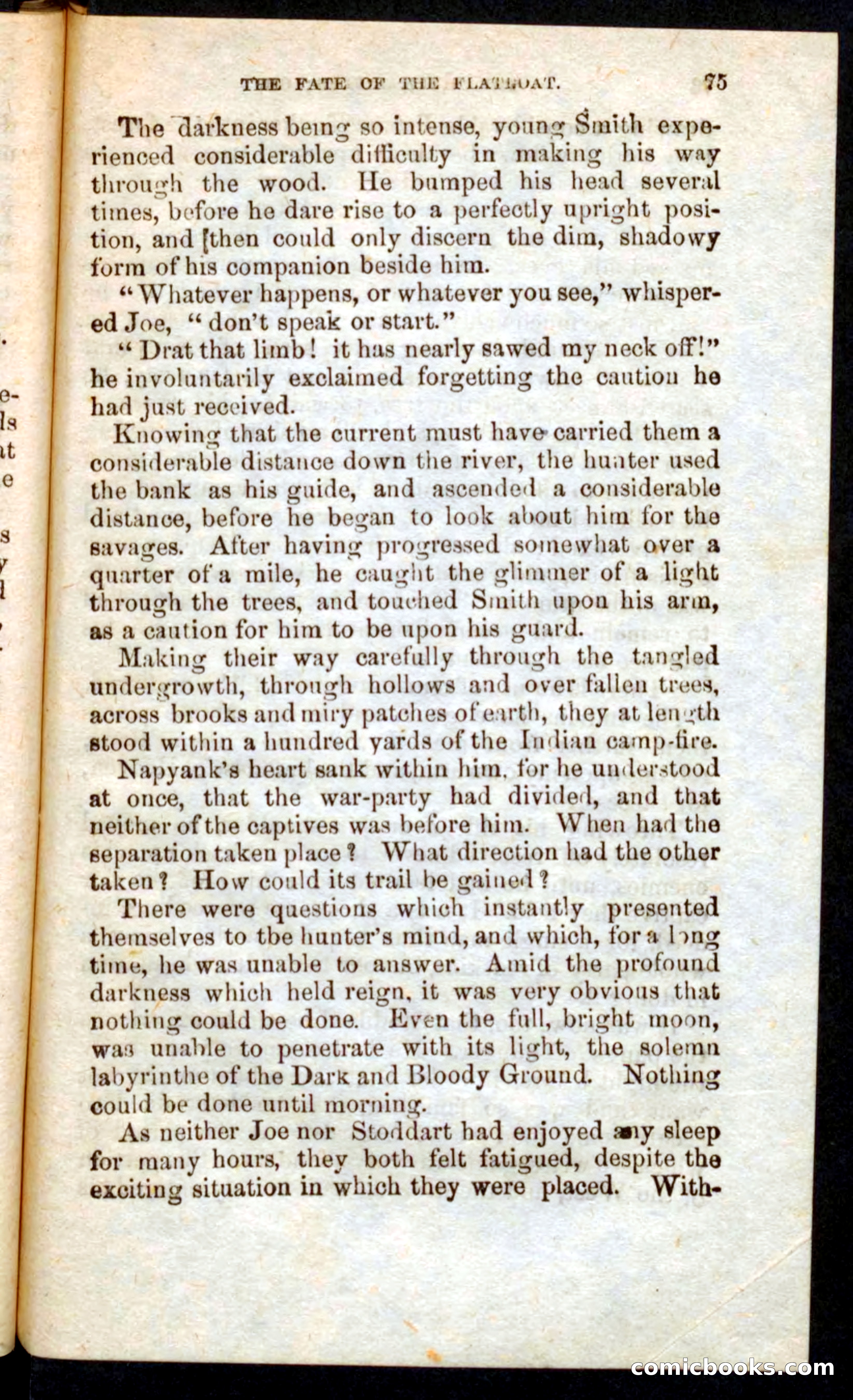 Beadle's Pocket Novels, Vol. V, No. 56 — page 71 of 100