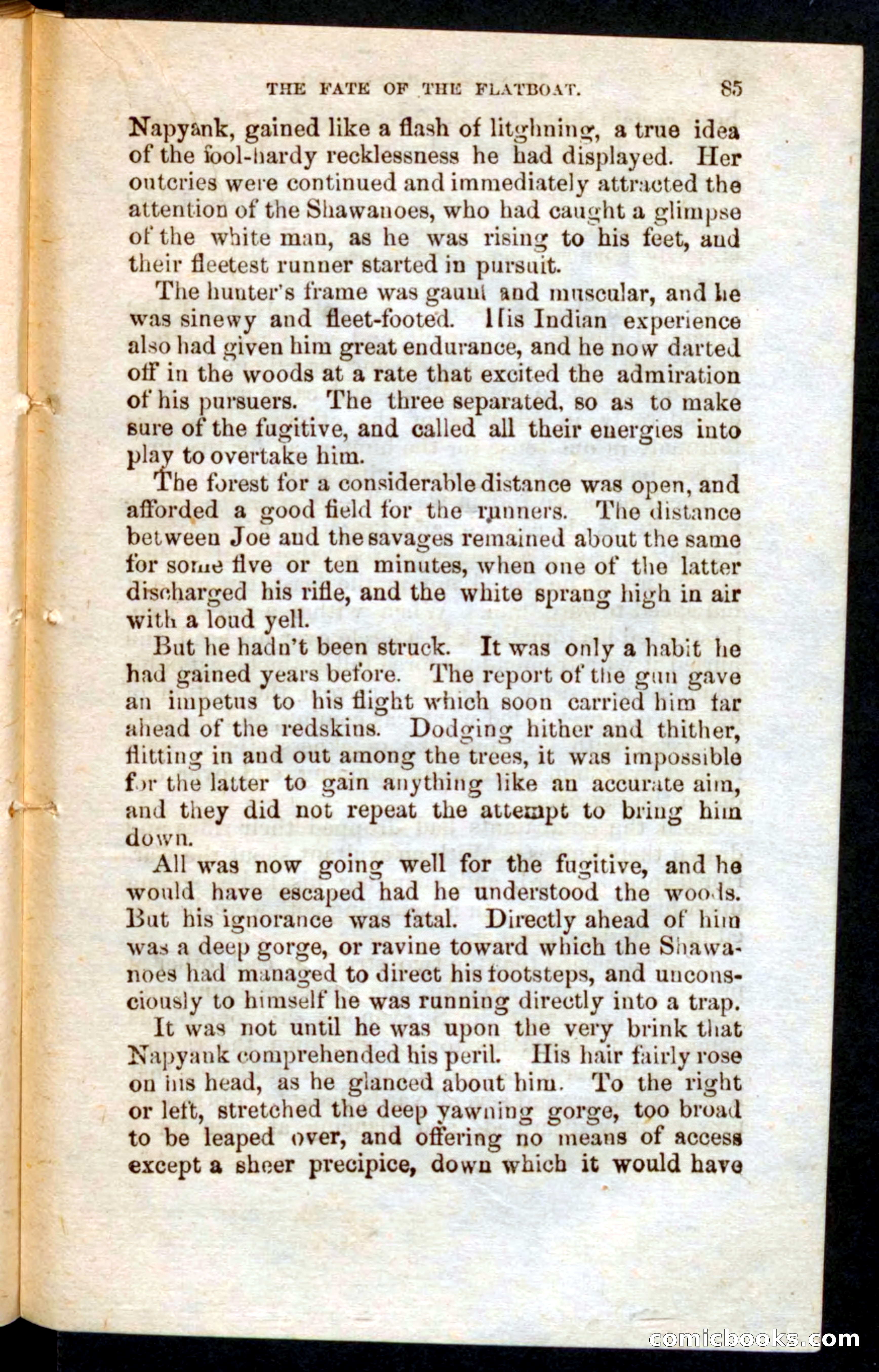 Beadle's Pocket Novels, Vol. V, No. 56 — page 81 of 100