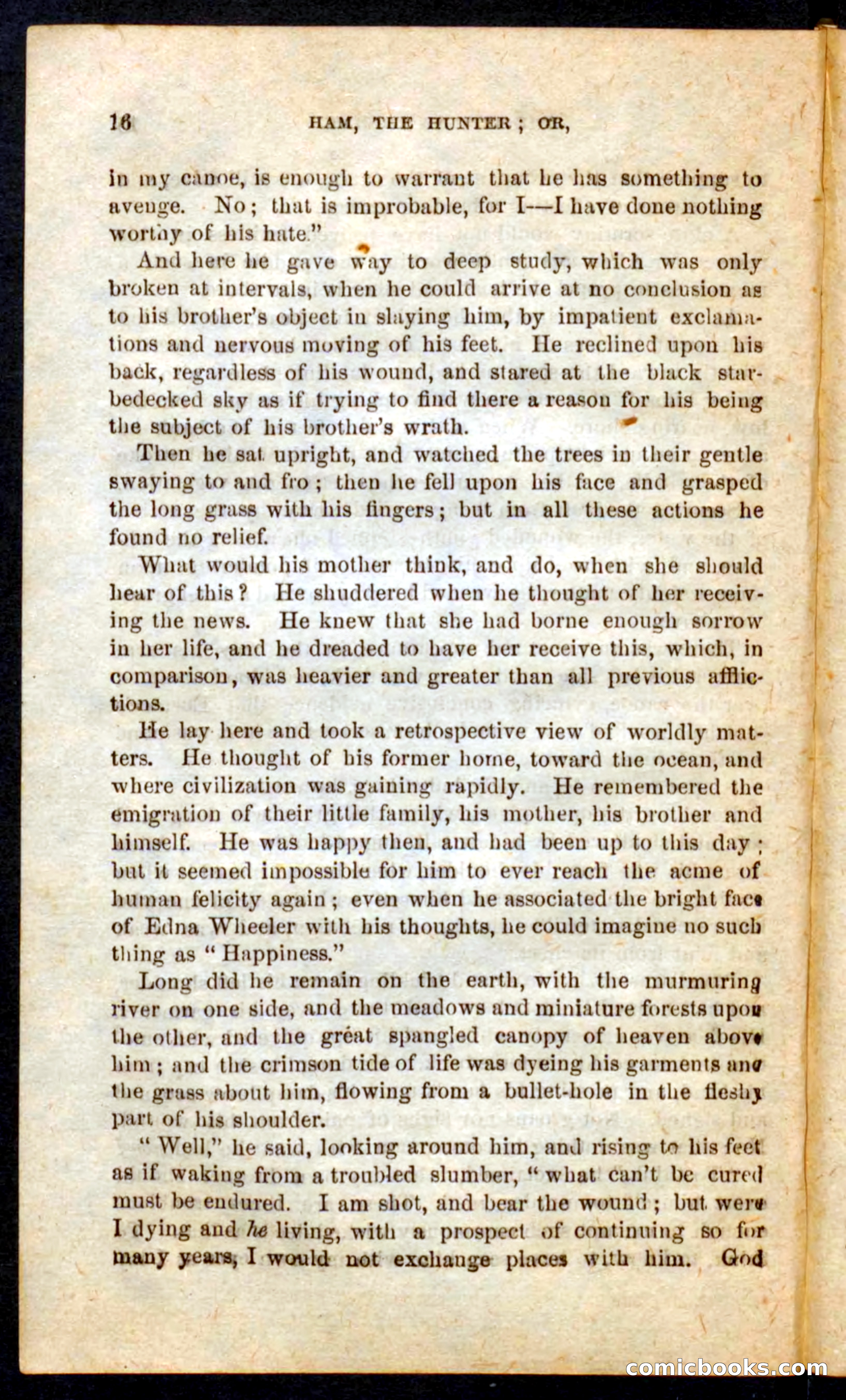 Beadle's Pocket Novels No. 57: Hunter Ham — page 12 of 100