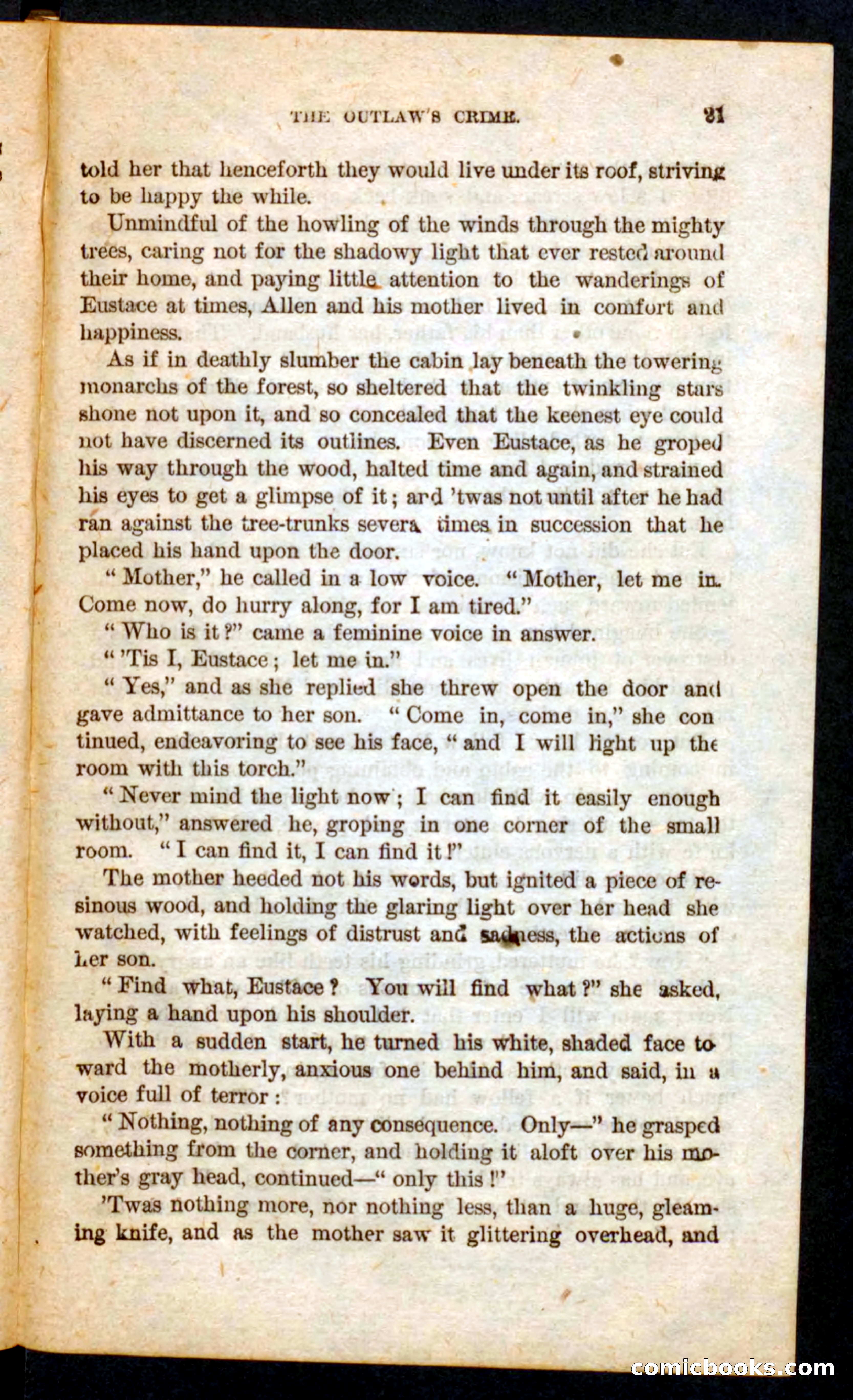 Beadle's Pocket Novels No. 57: Hunter Ham — page 17 of 100