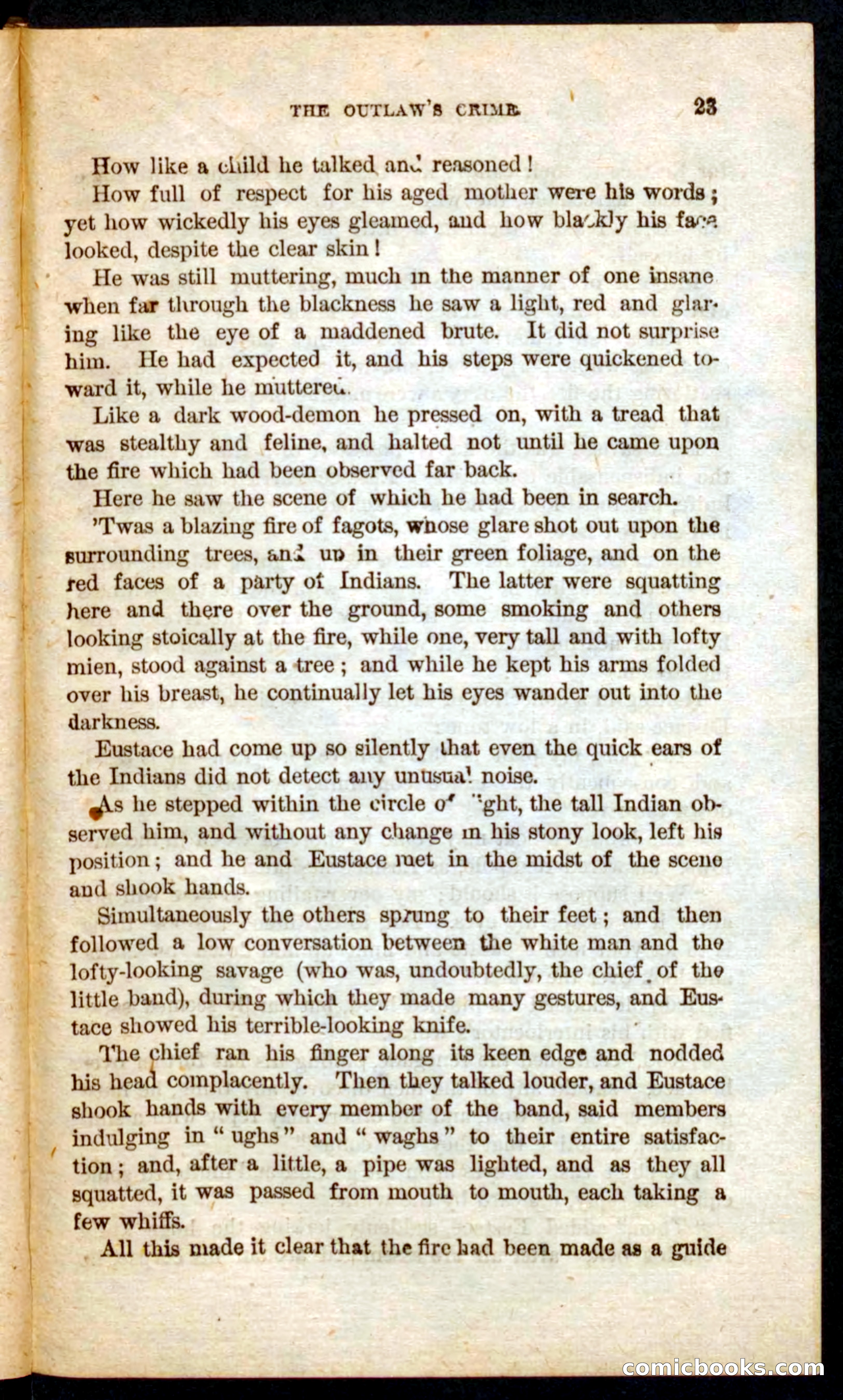 Beadle's Pocket Novels No. 57: Hunter Ham — page 19 of 100