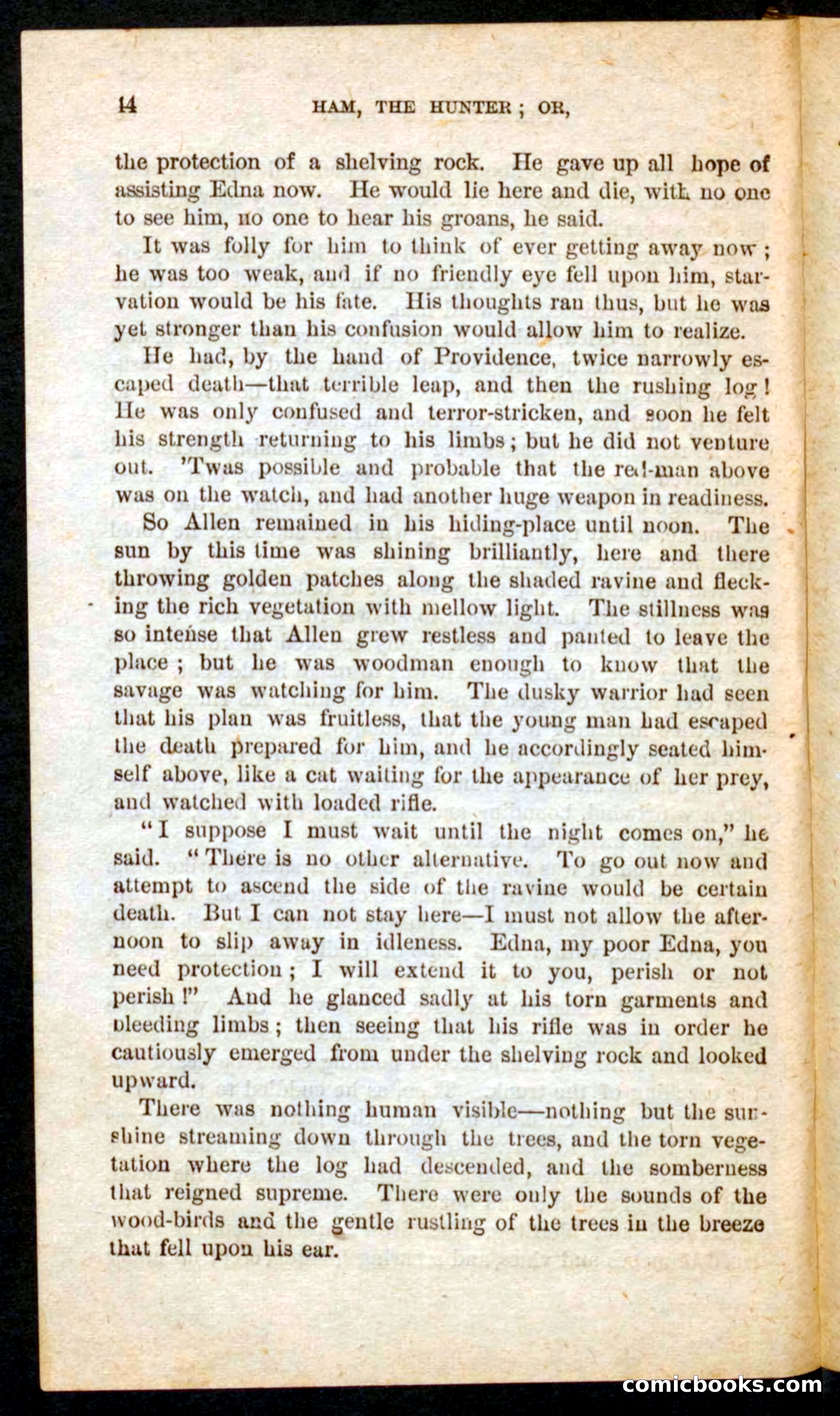 Beadle's Pocket Novels No. 57: Hunter Ham — page 40 of 100