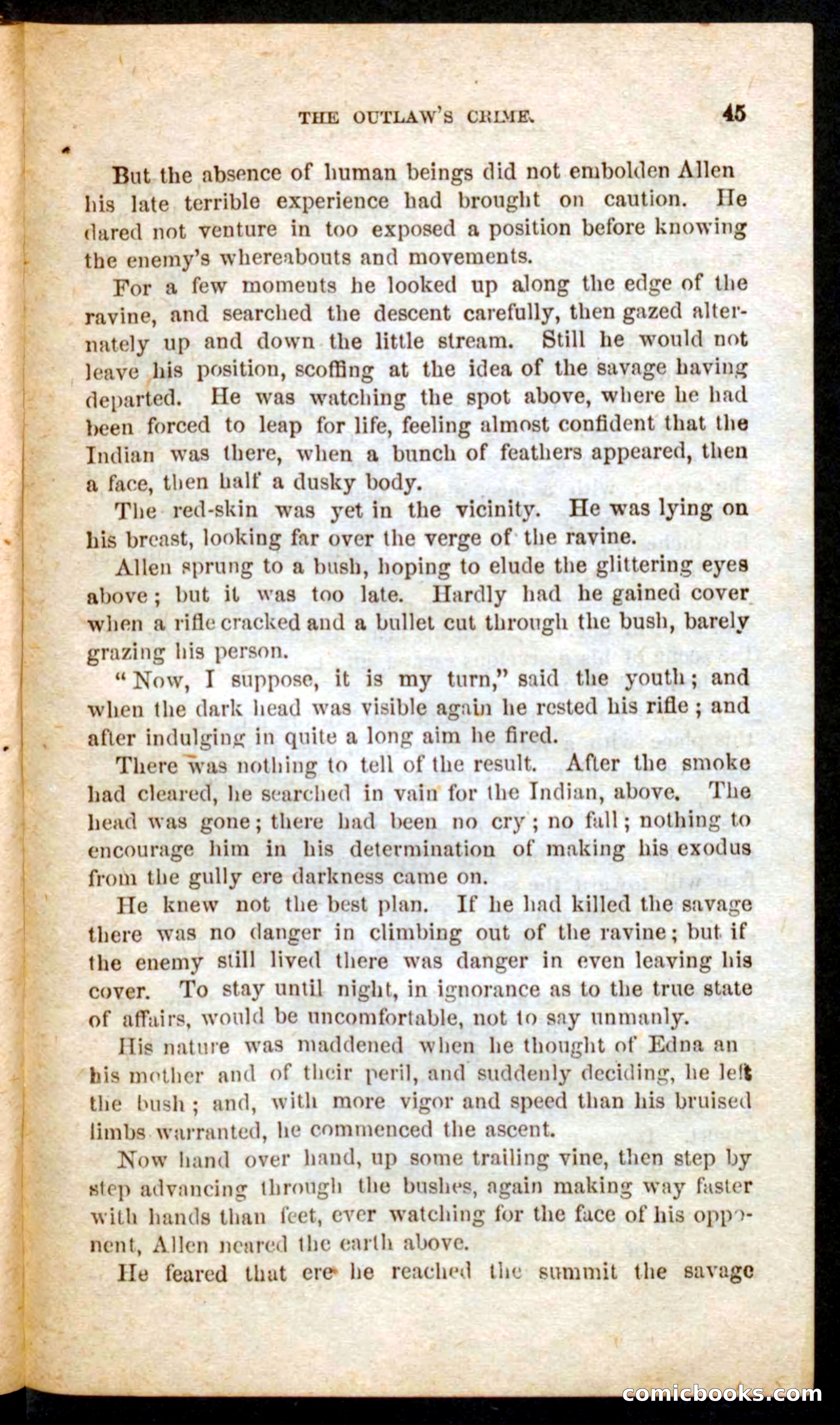 Beadle's Pocket Novels No. 57: Hunter Ham — page 41 of 100