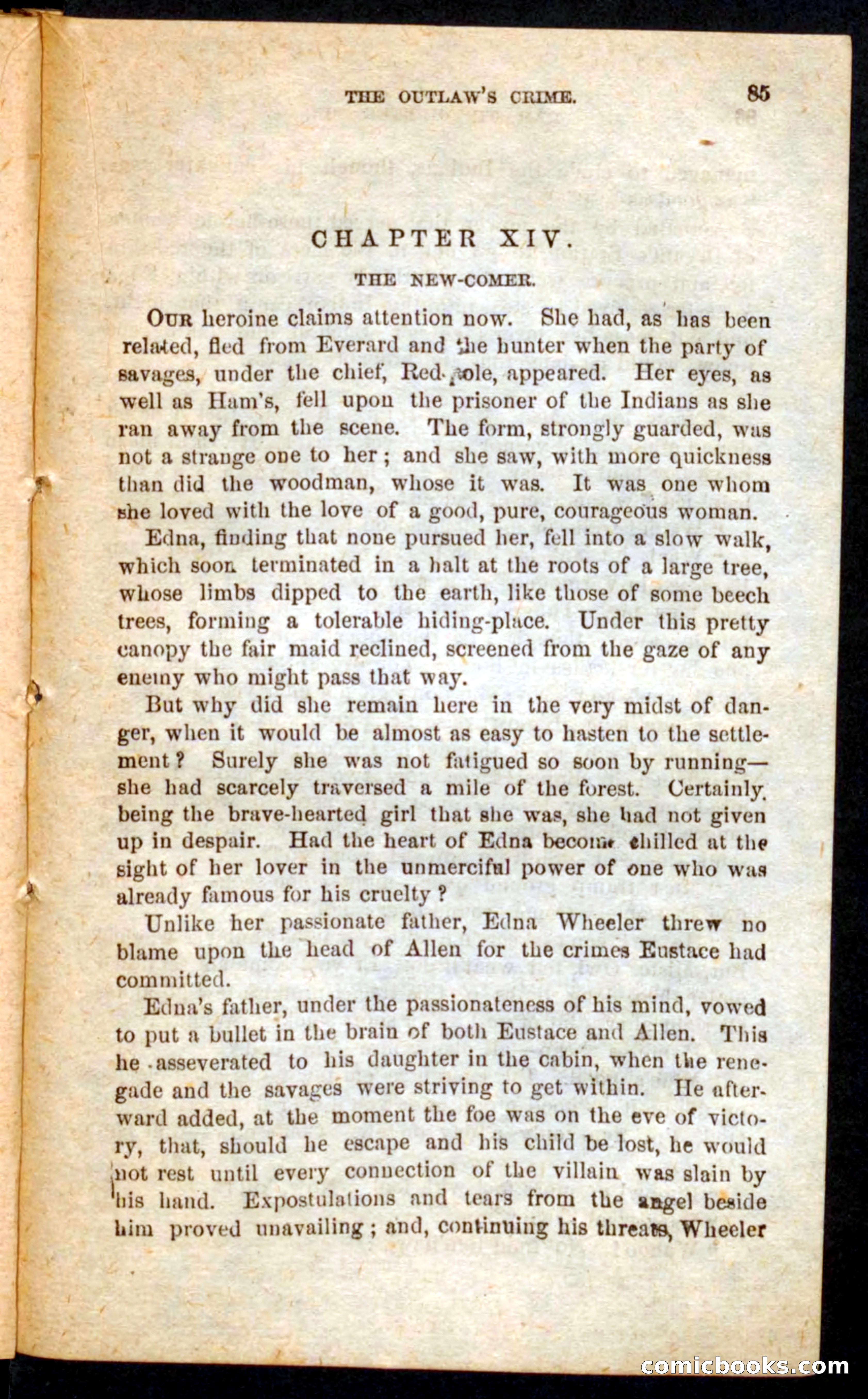Beadle's Pocket Novels No. 57: Hunter Ham — page 81 of 100