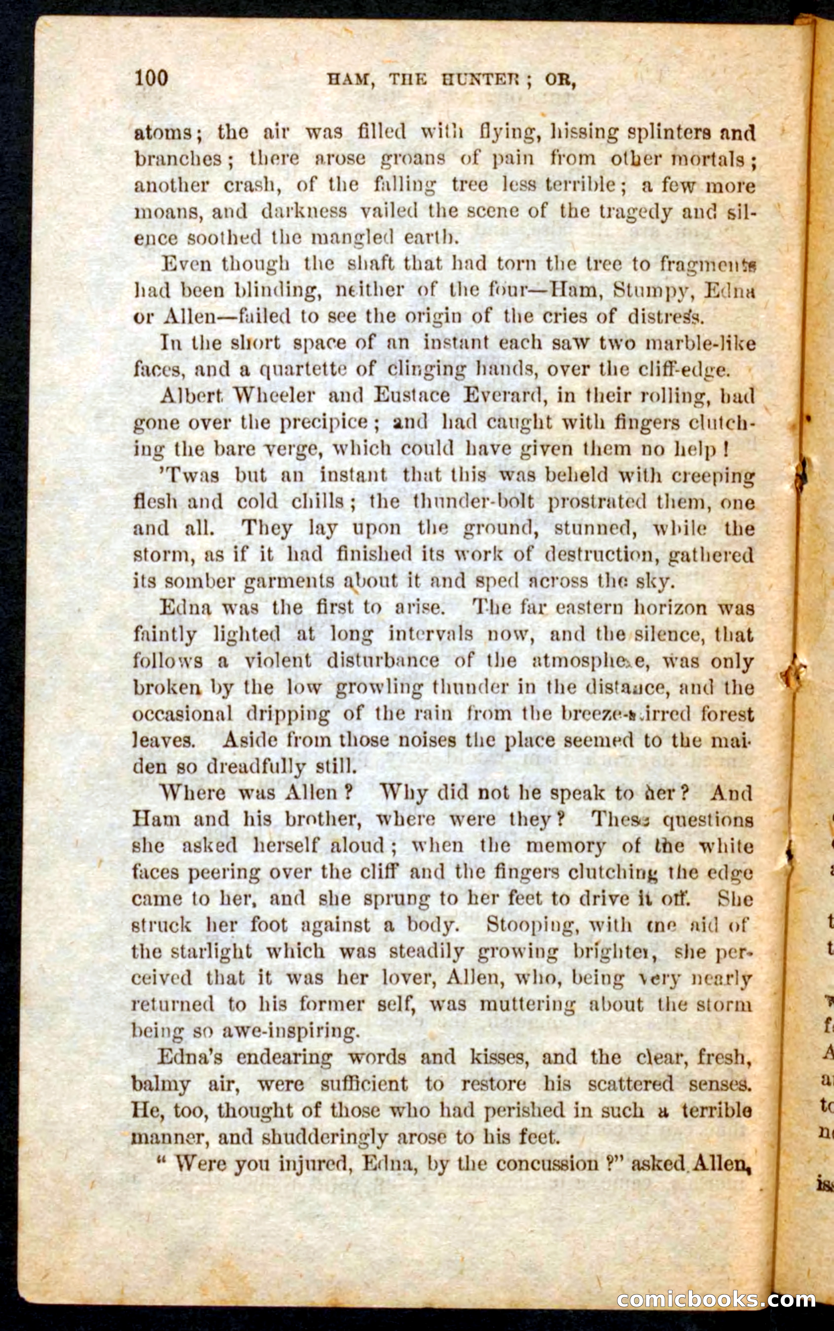 Beadle's Pocket Novels No. 57: Hunter Ham — page 96 of 100