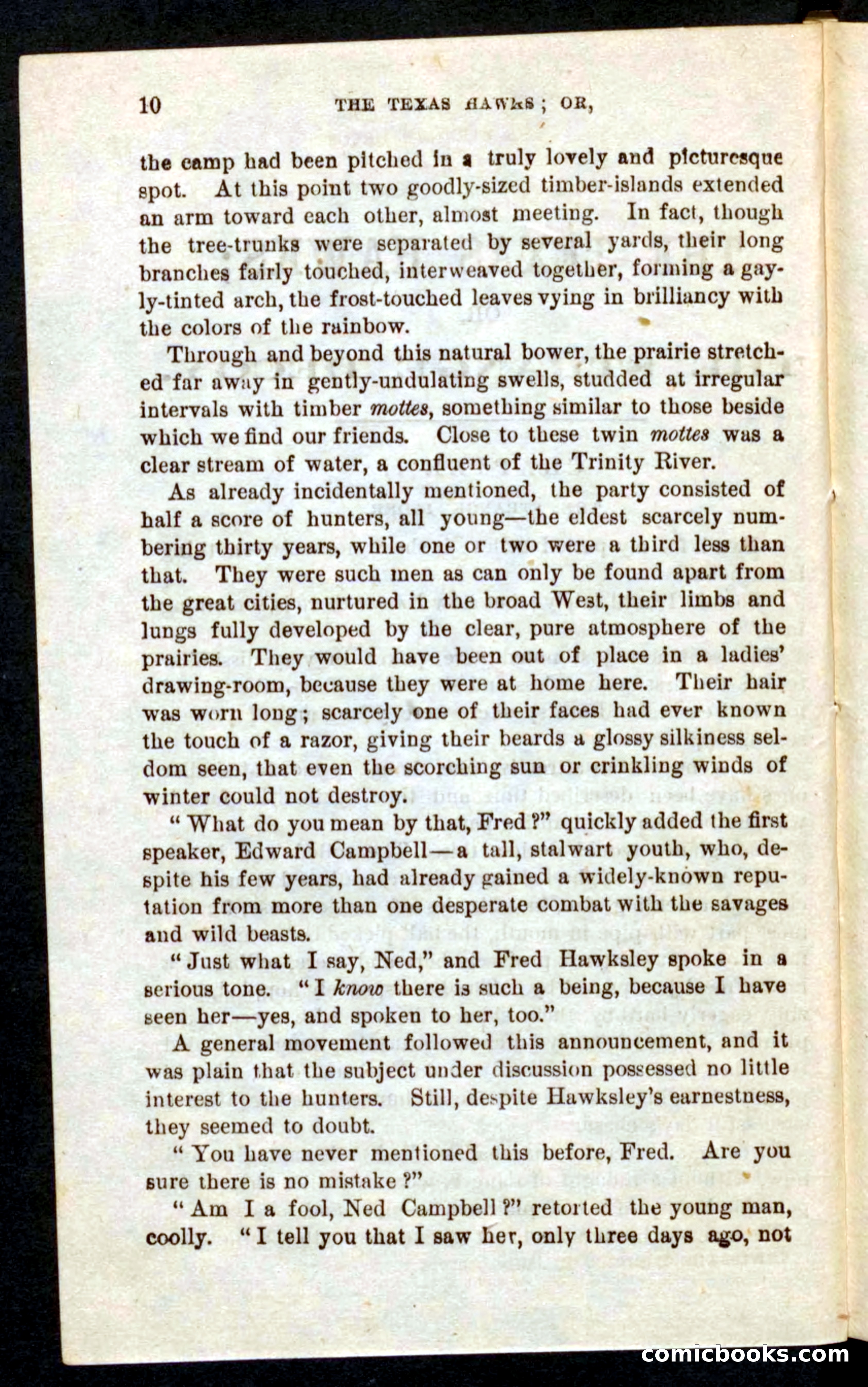Beadle's Pocket Novels No. 59: The Texas Hawks — page 6 of 100