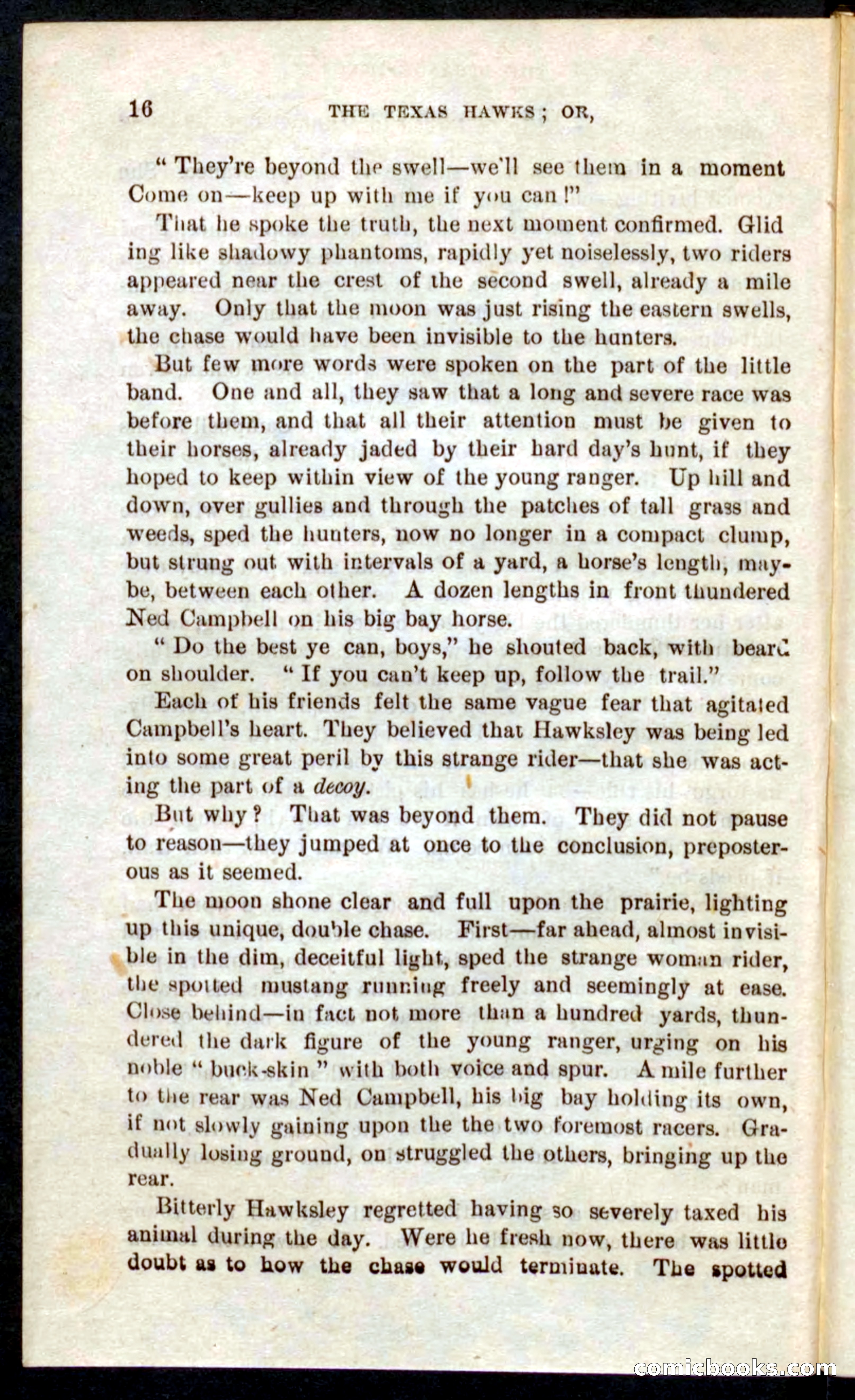 Beadle's Pocket Novels No. 59: The Texas Hawks — page 12 of 100