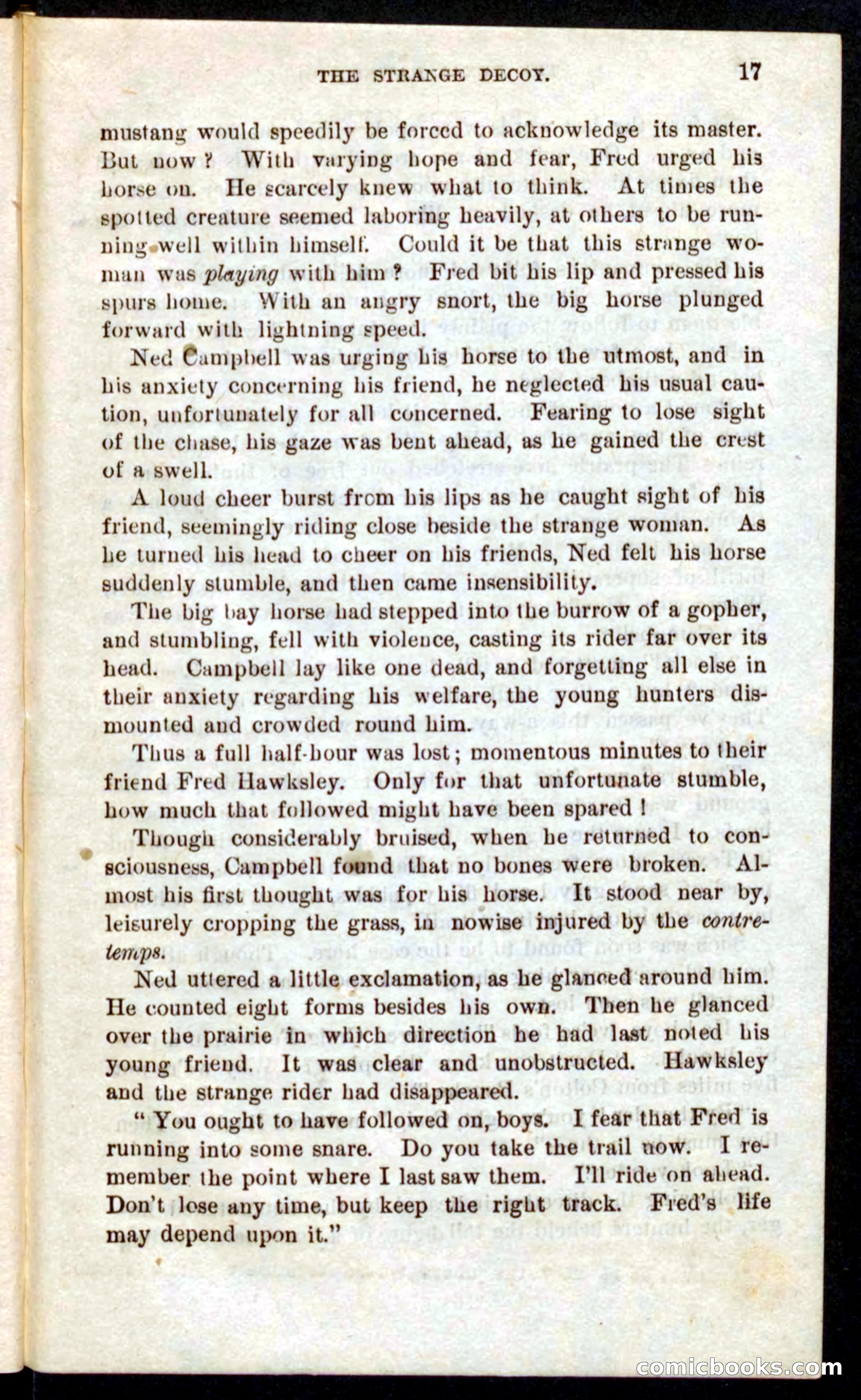 Beadle's Pocket Novels No. 59: The Texas Hawks — page 13 of 100