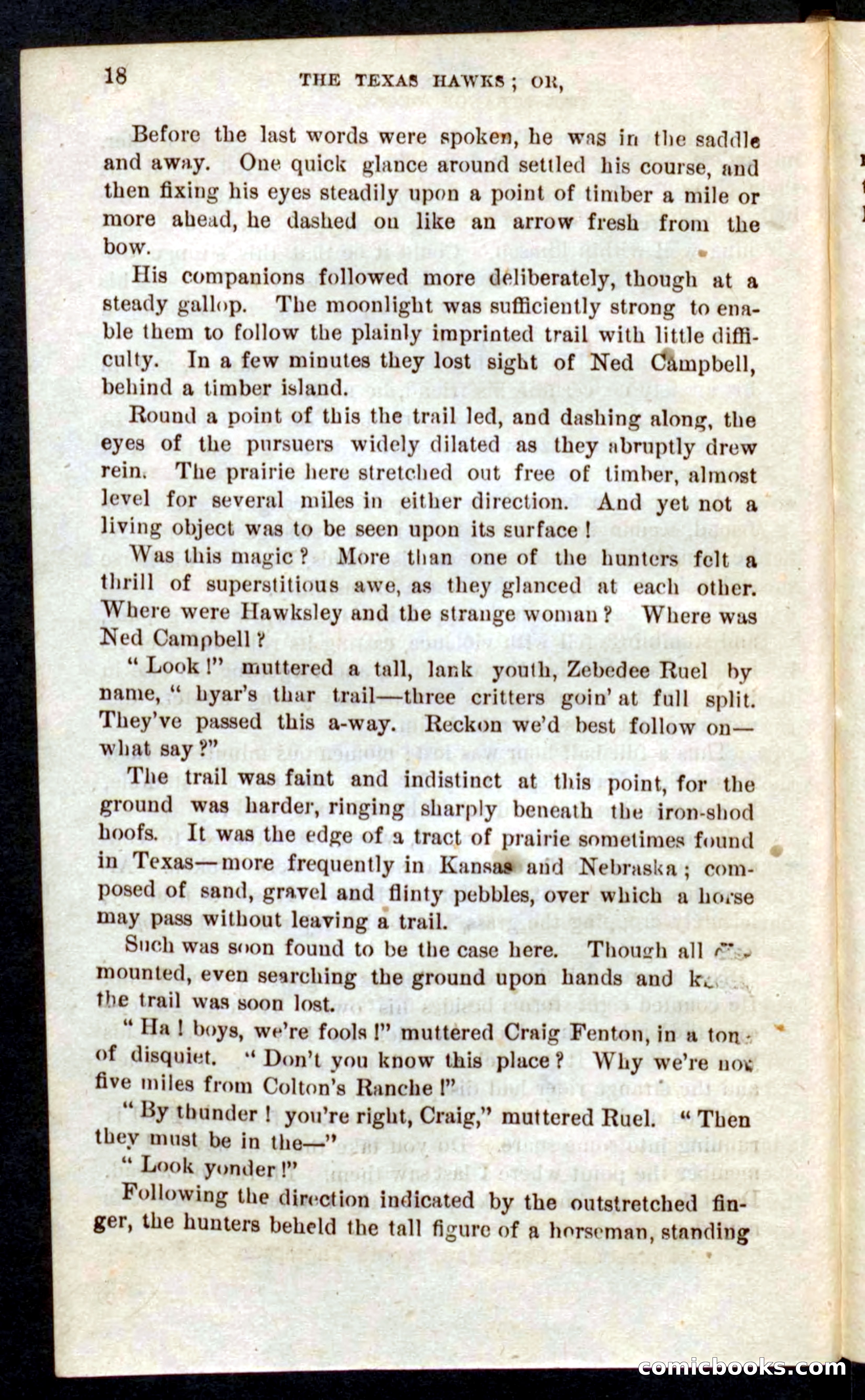 Beadle's Pocket Novels No. 59: The Texas Hawks — page 14 of 100