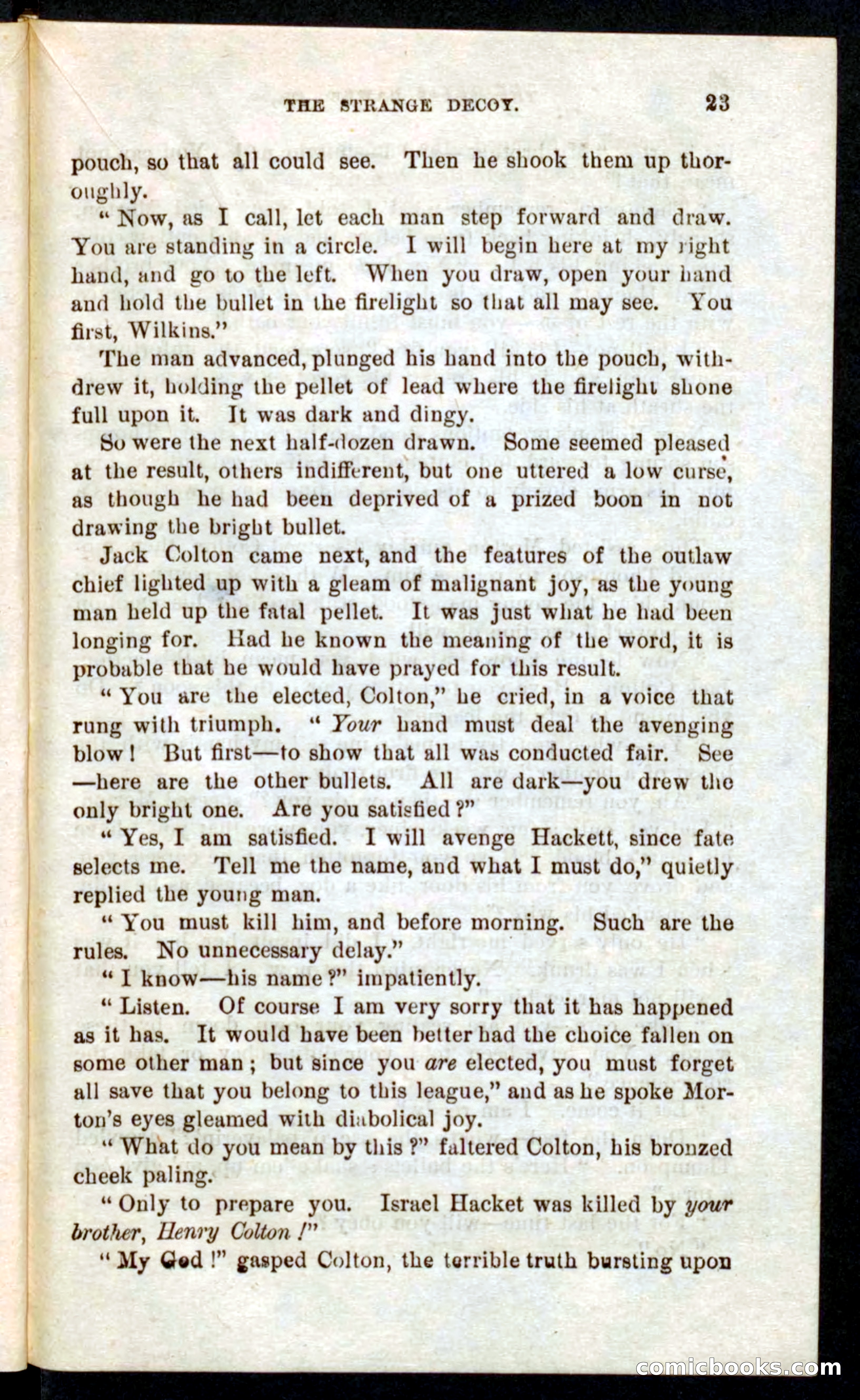Beadle's Pocket Novels No. 59: The Texas Hawks — page 19 of 100