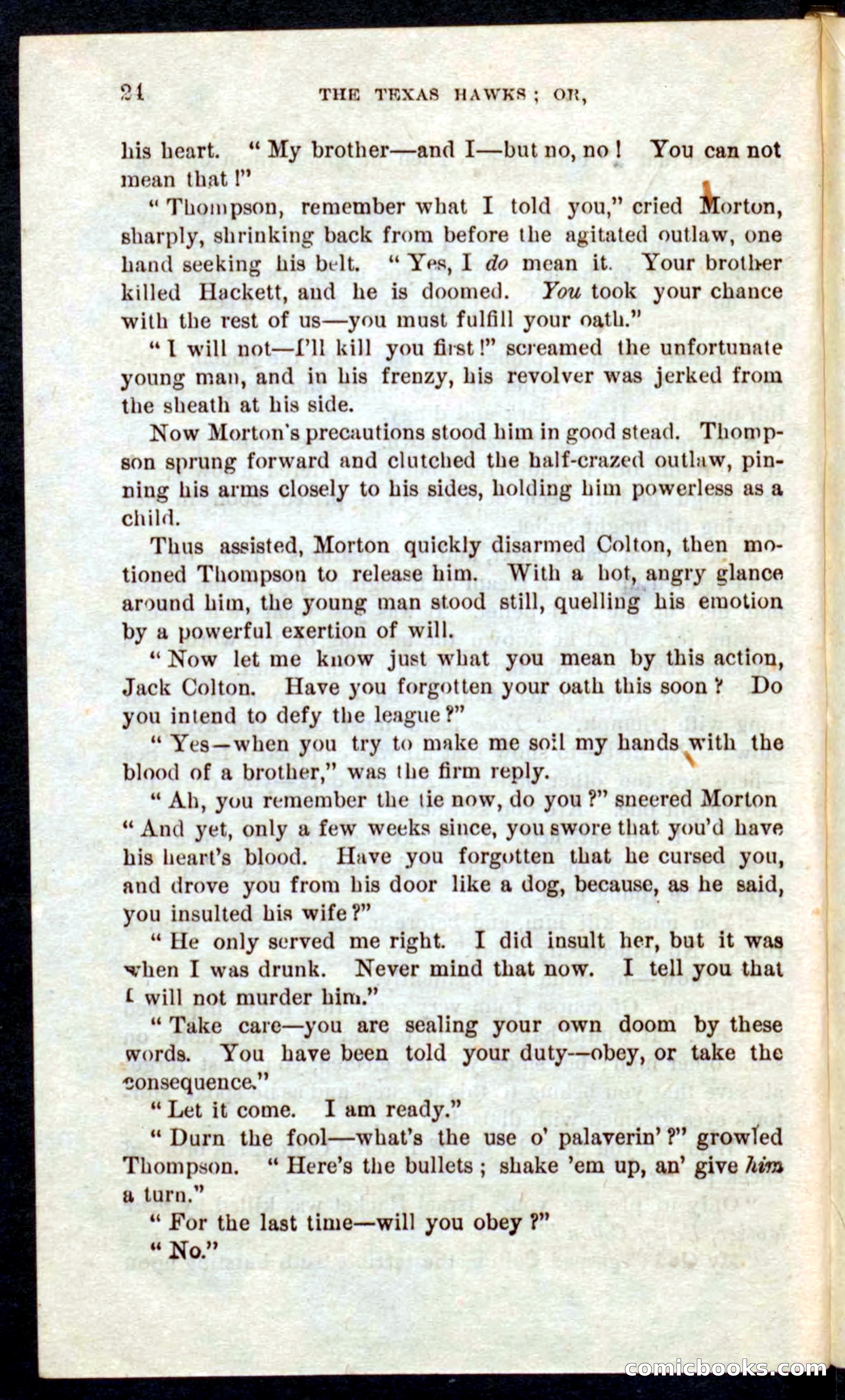 Beadle's Pocket Novels No. 59: The Texas Hawks — page 20 of 100