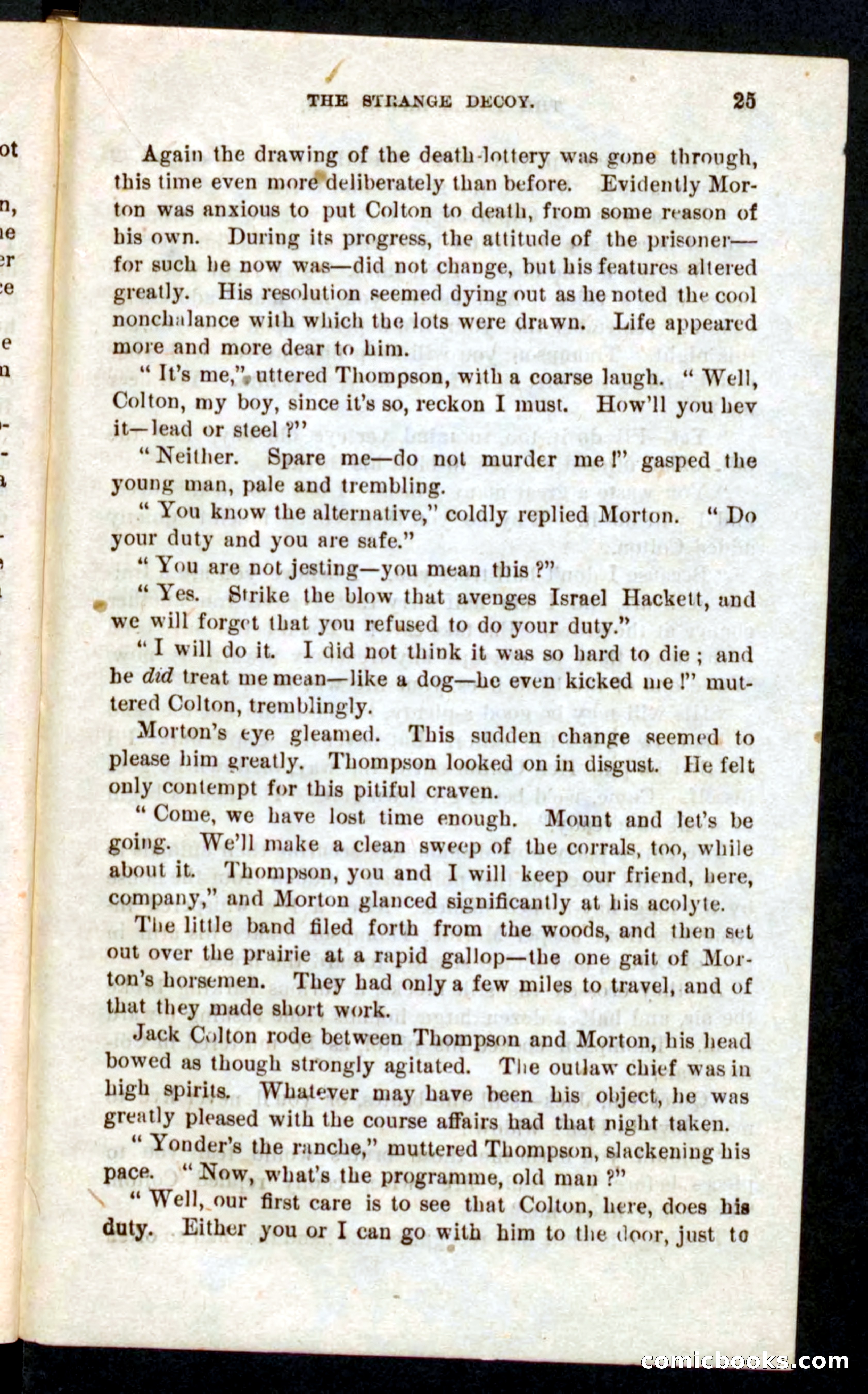 Beadle's Pocket Novels No. 59: The Texas Hawks — page 21 of 100