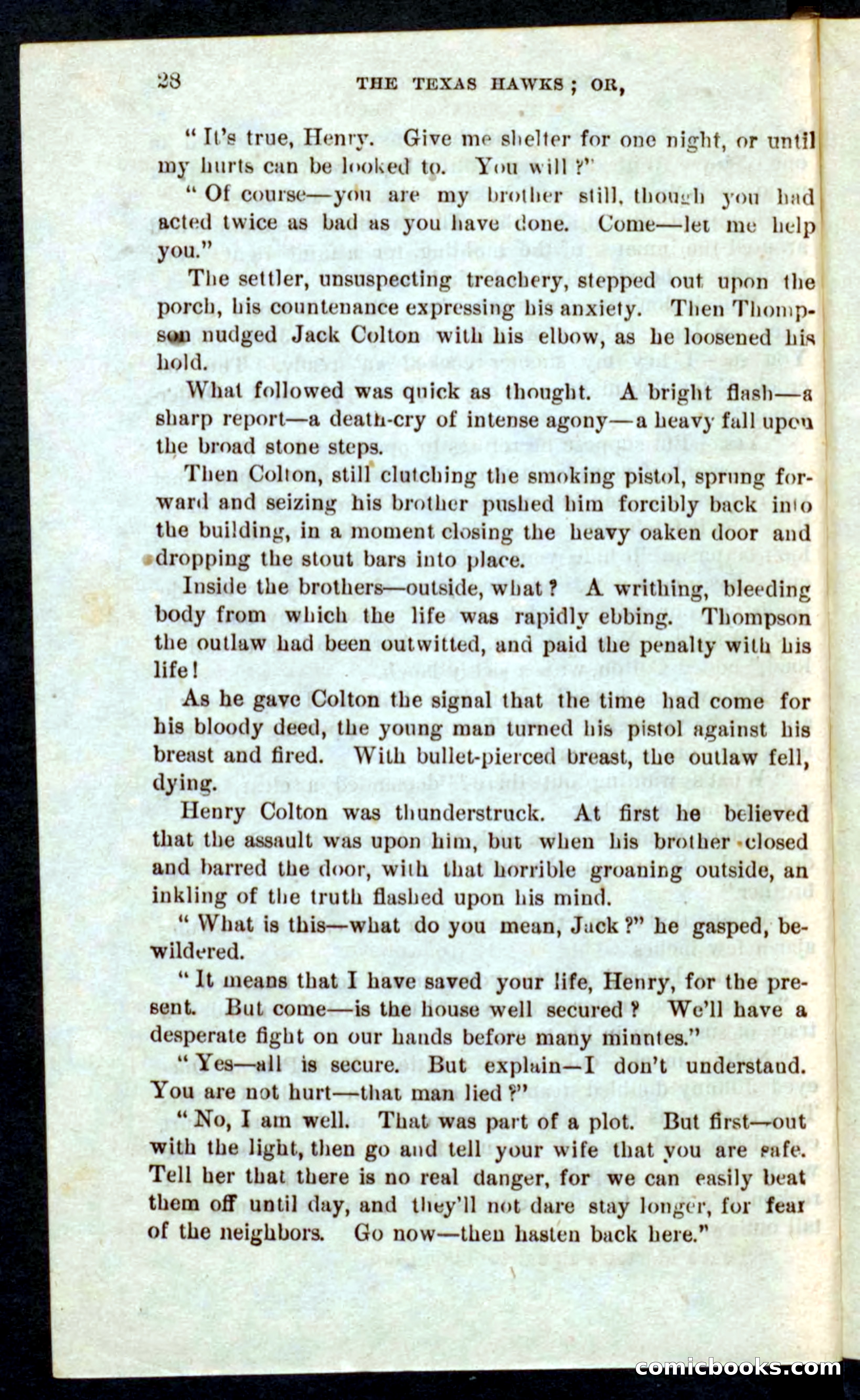 Beadle's Pocket Novels No. 59: The Texas Hawks — page 24 of 100