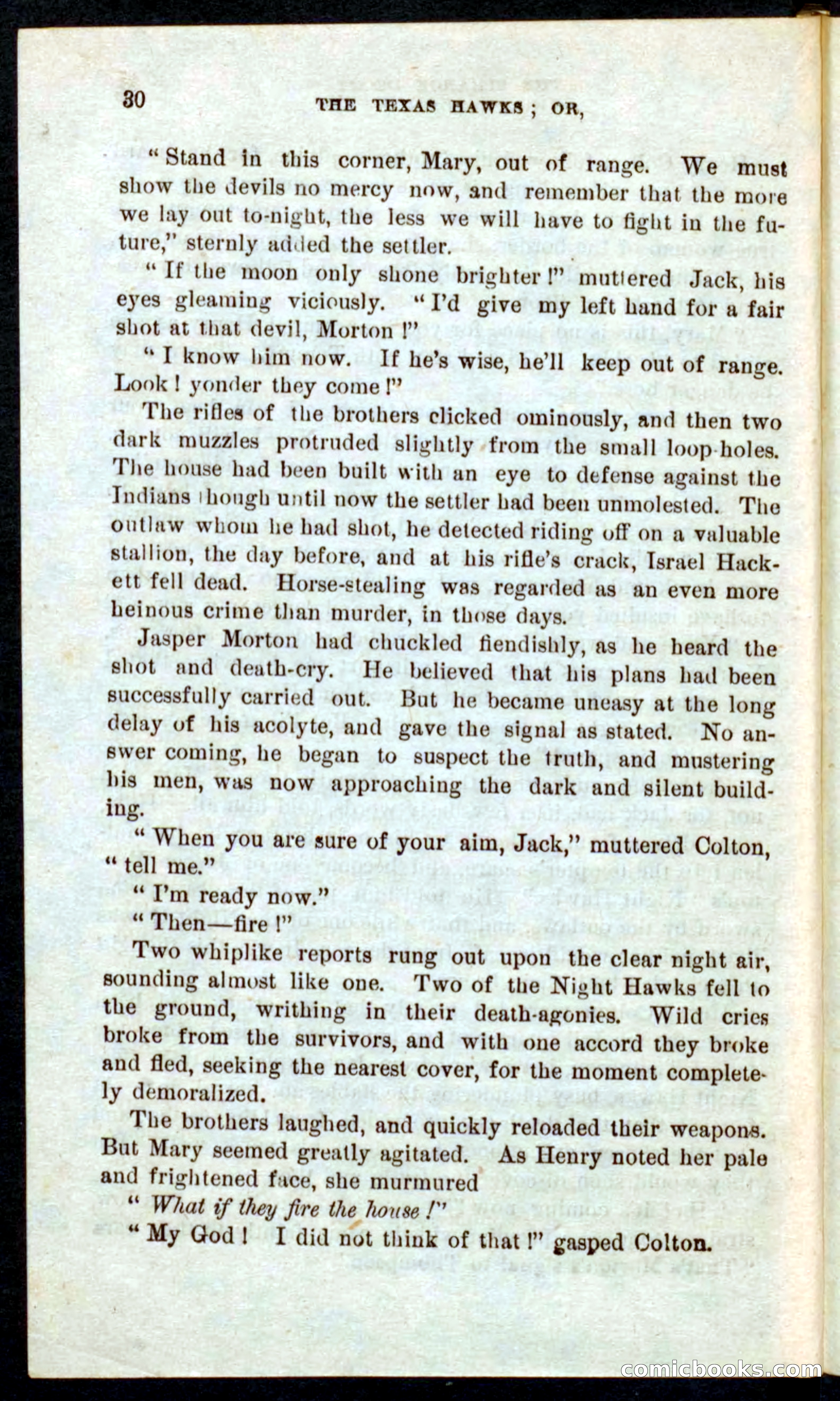 Beadle's Pocket Novels No. 59: The Texas Hawks — page 26 of 100