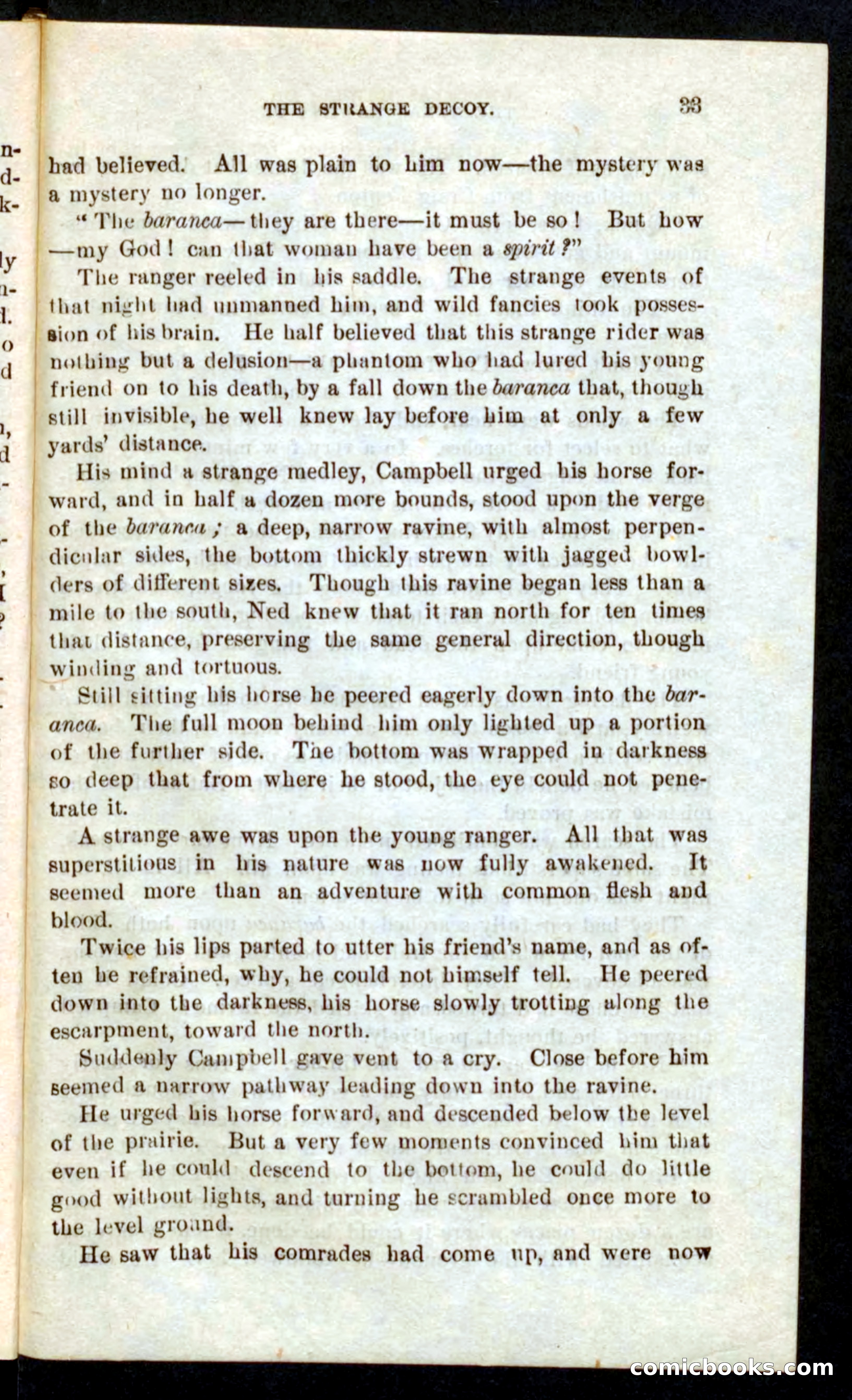 Beadle's Pocket Novels No. 59: The Texas Hawks — page 29 of 100