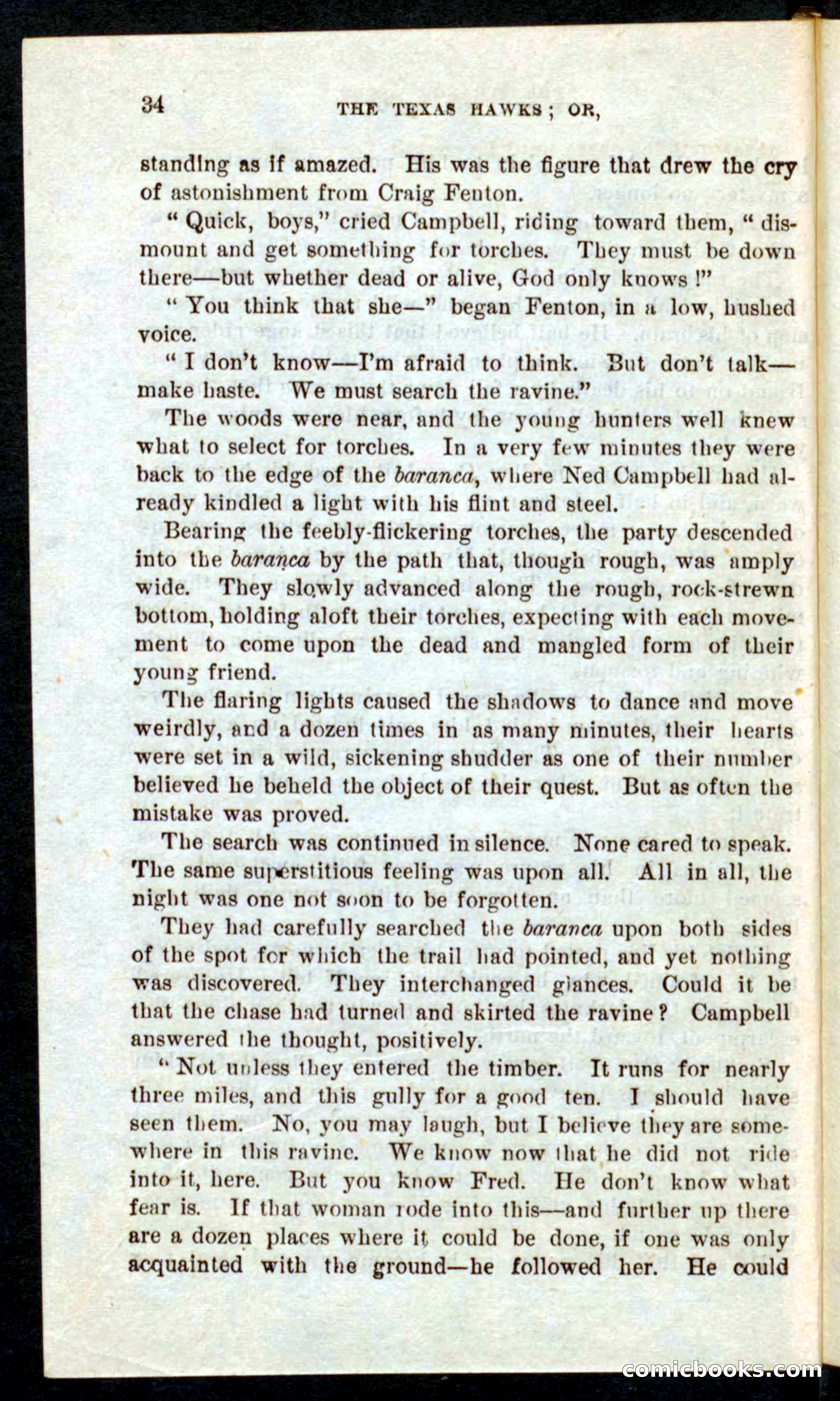 Beadle's Pocket Novels No. 59: The Texas Hawks — page 30 of 100