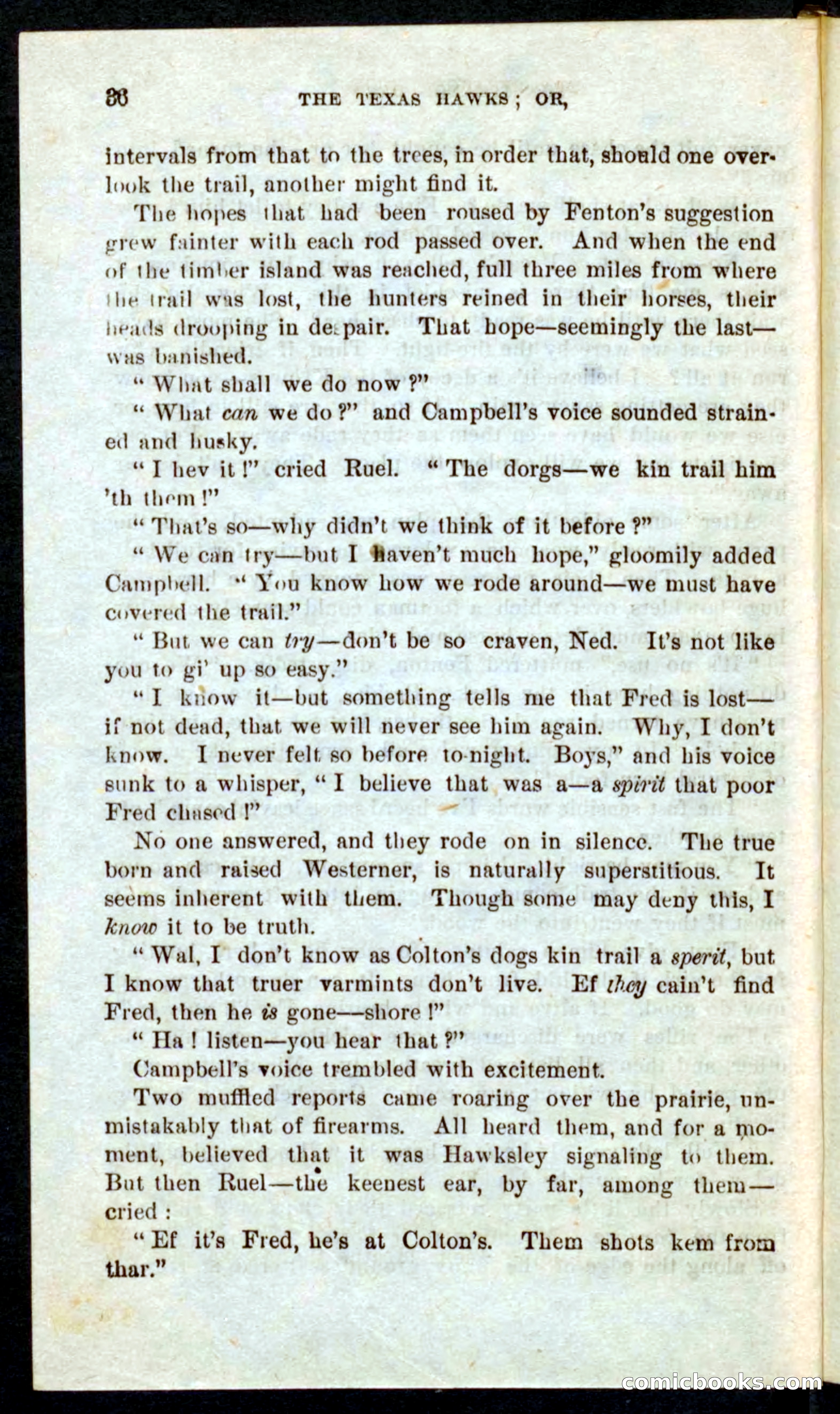 Beadle's Pocket Novels No. 59: The Texas Hawks — page 32 of 100