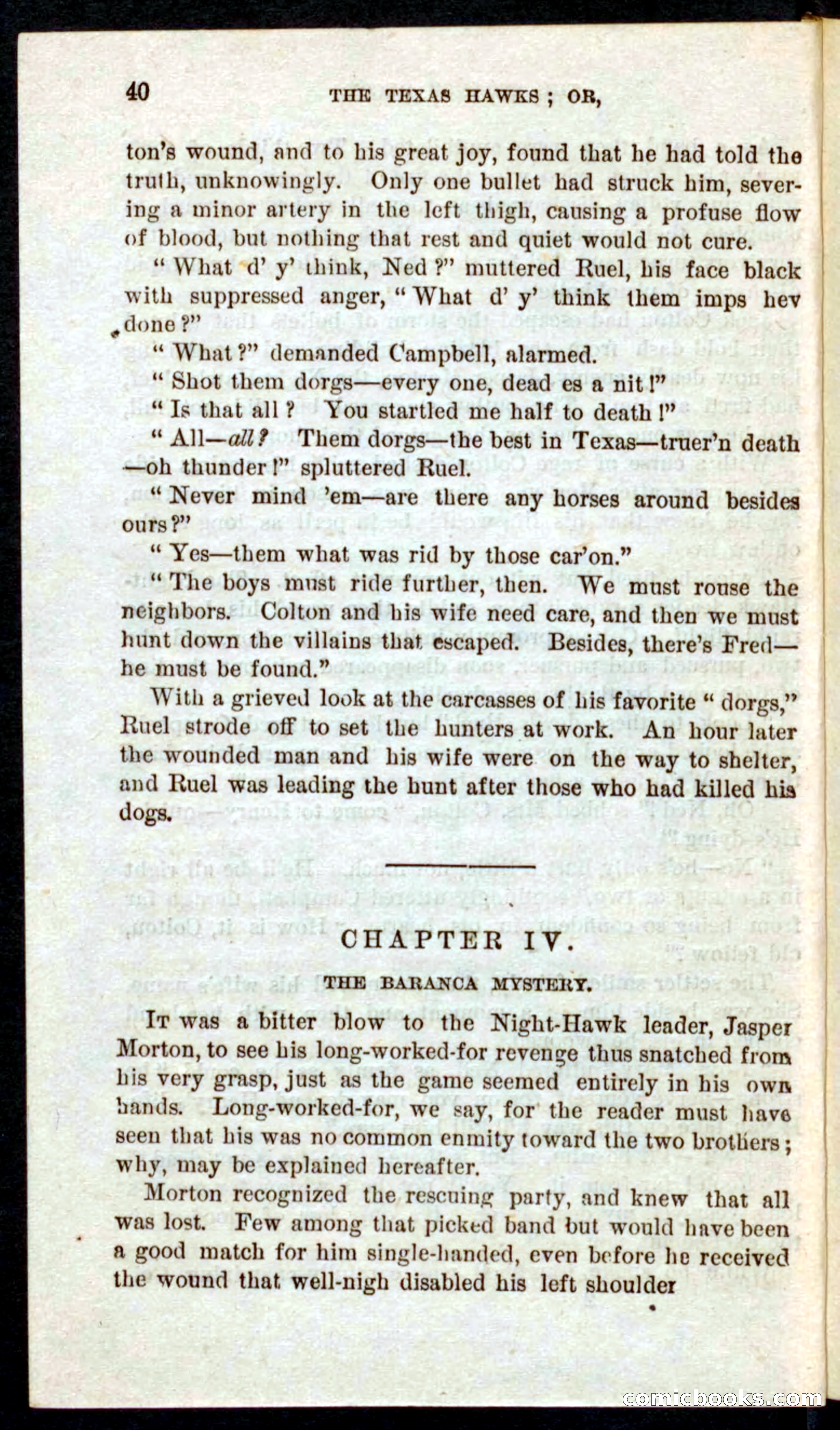 Beadle's Pocket Novels No. 59: The Texas Hawks — page 36 of 100