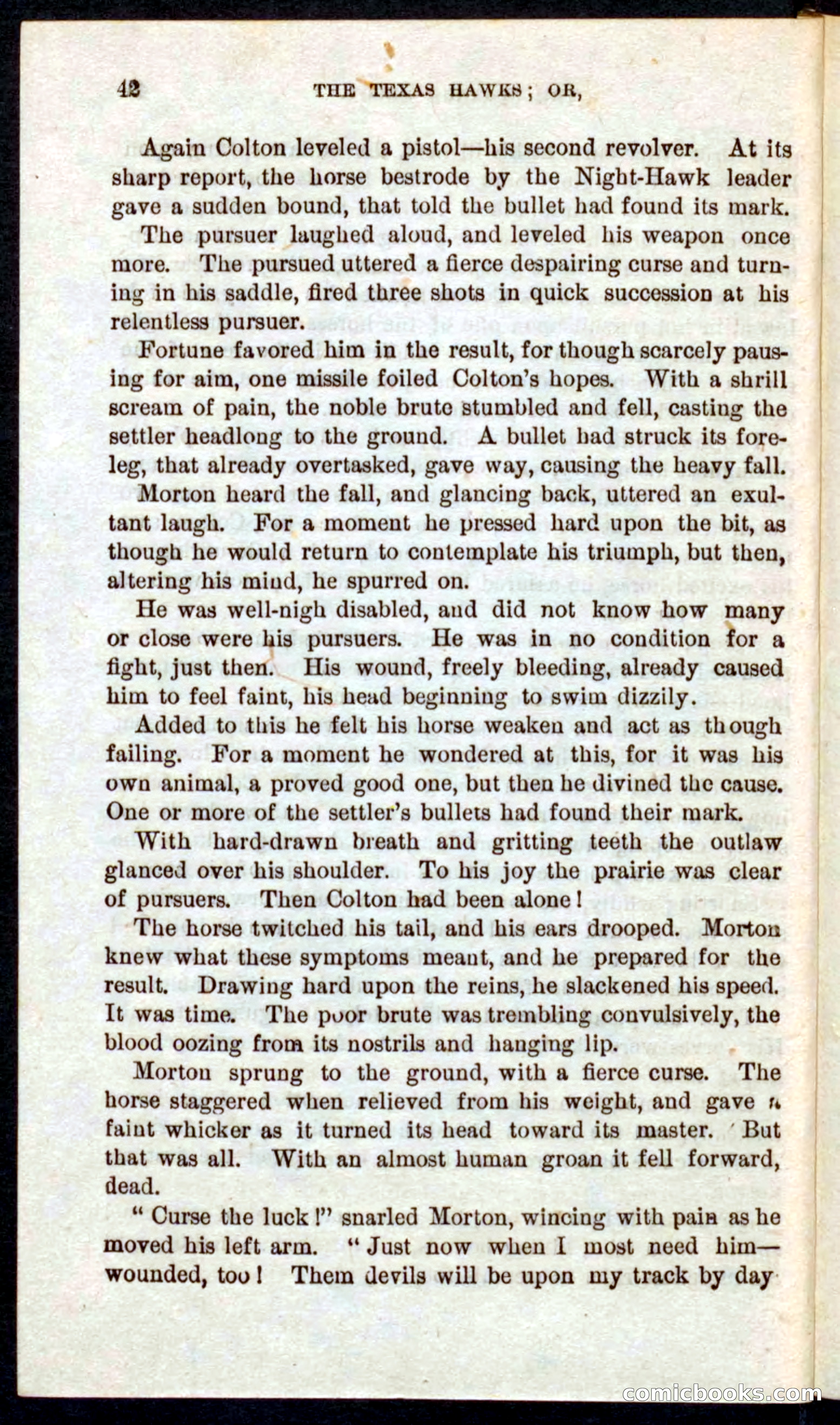 Beadle's Pocket Novels No. 59: The Texas Hawks — page 38 of 100