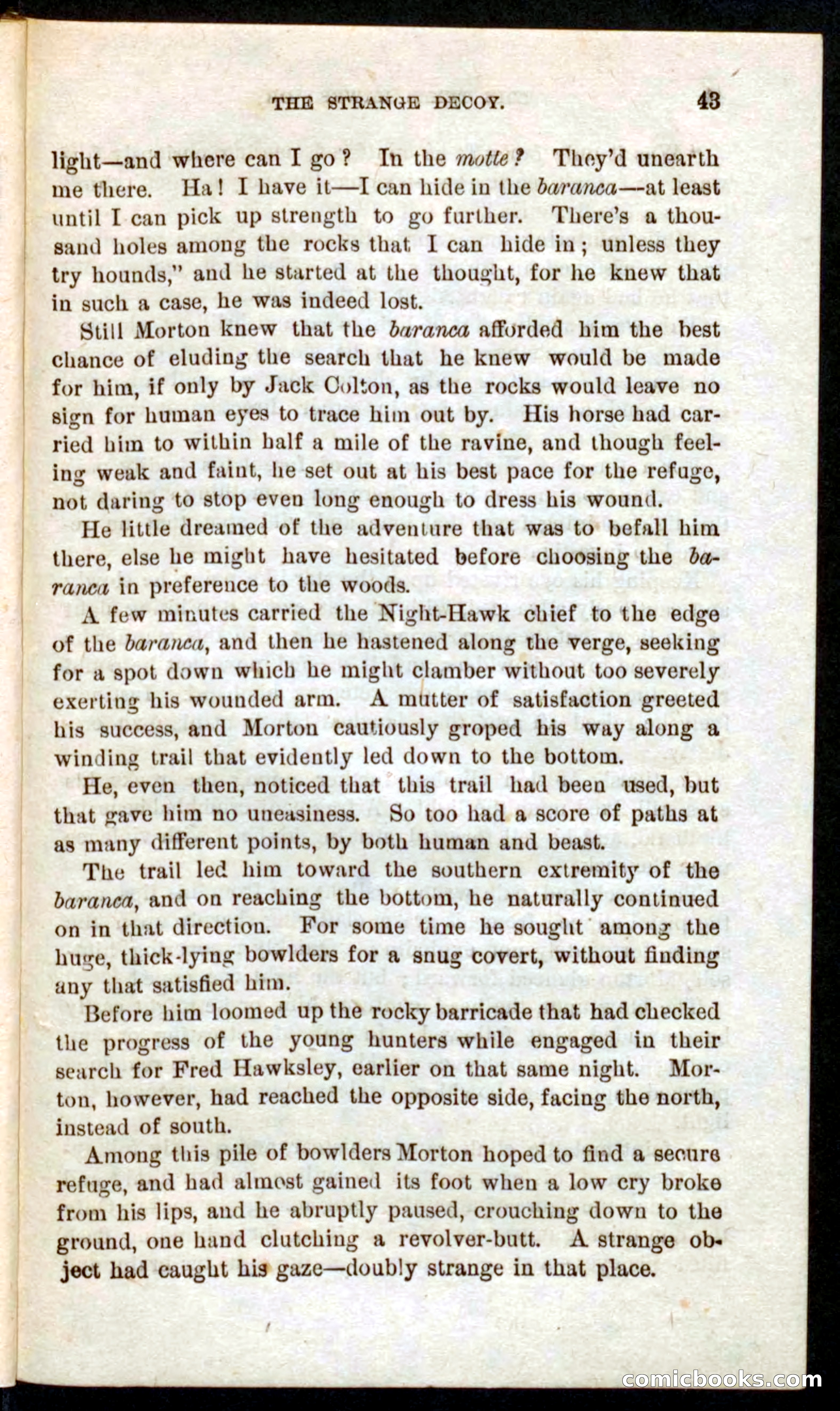Beadle's Pocket Novels No. 59: The Texas Hawks — page 39 of 100