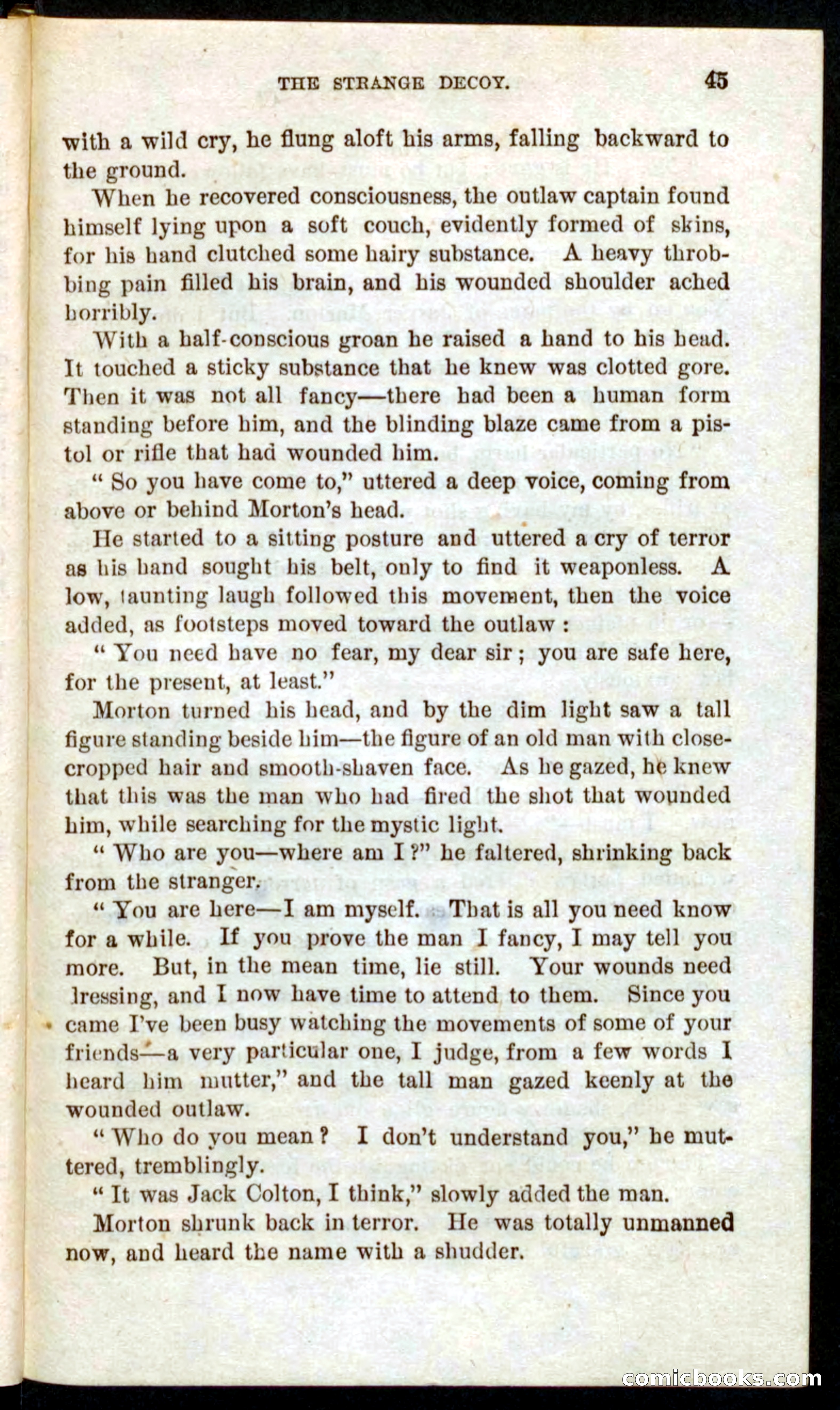 Beadle's Pocket Novels No. 59: The Texas Hawks — page 41 of 100